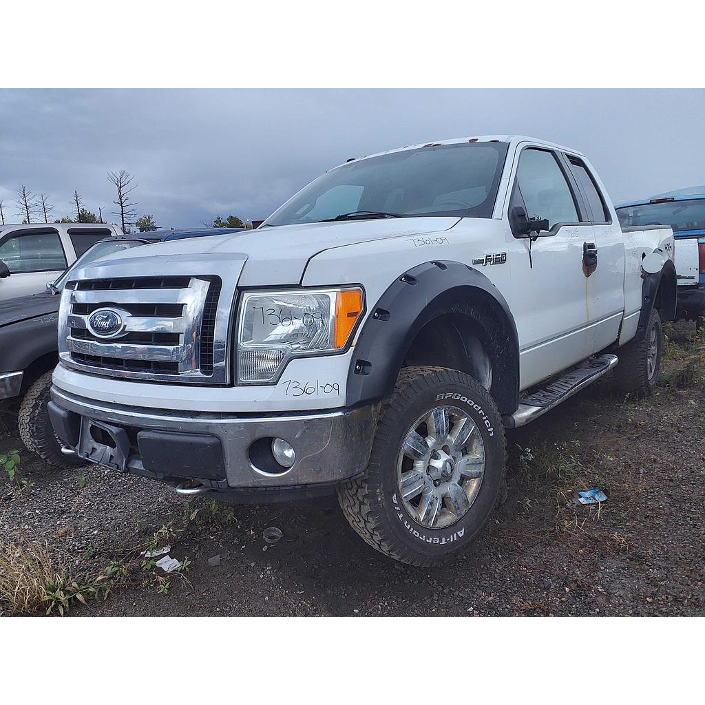 FORD F-150 2009