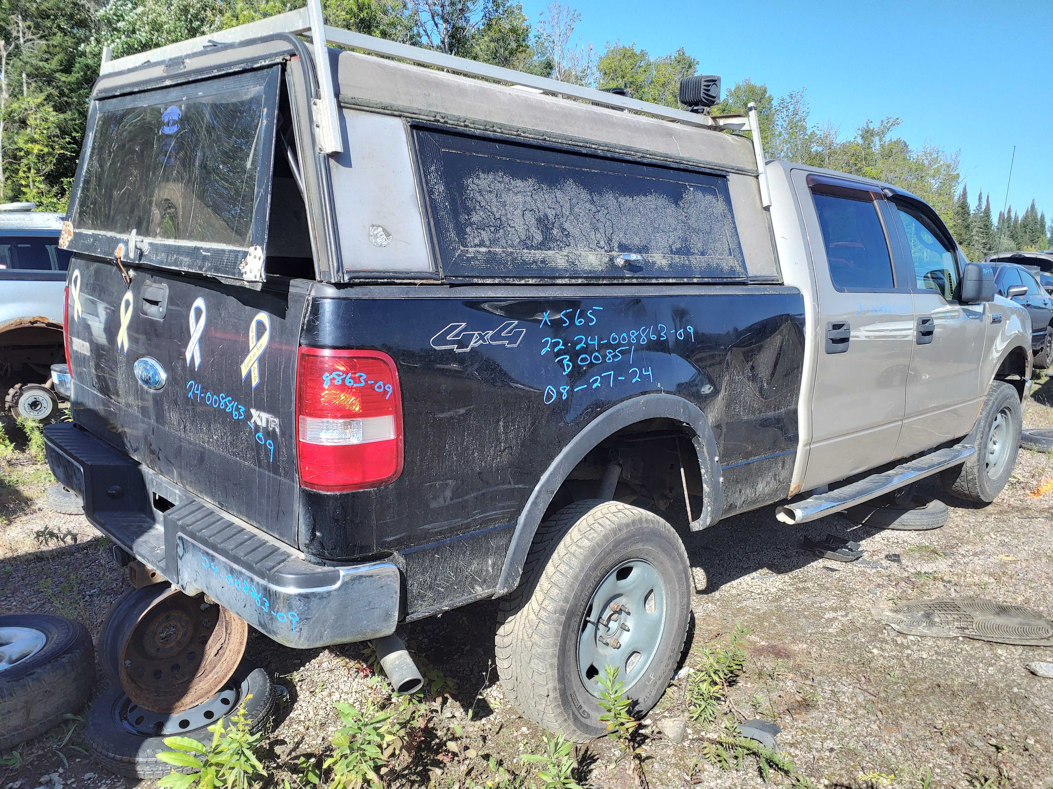 FORD F-150 2007