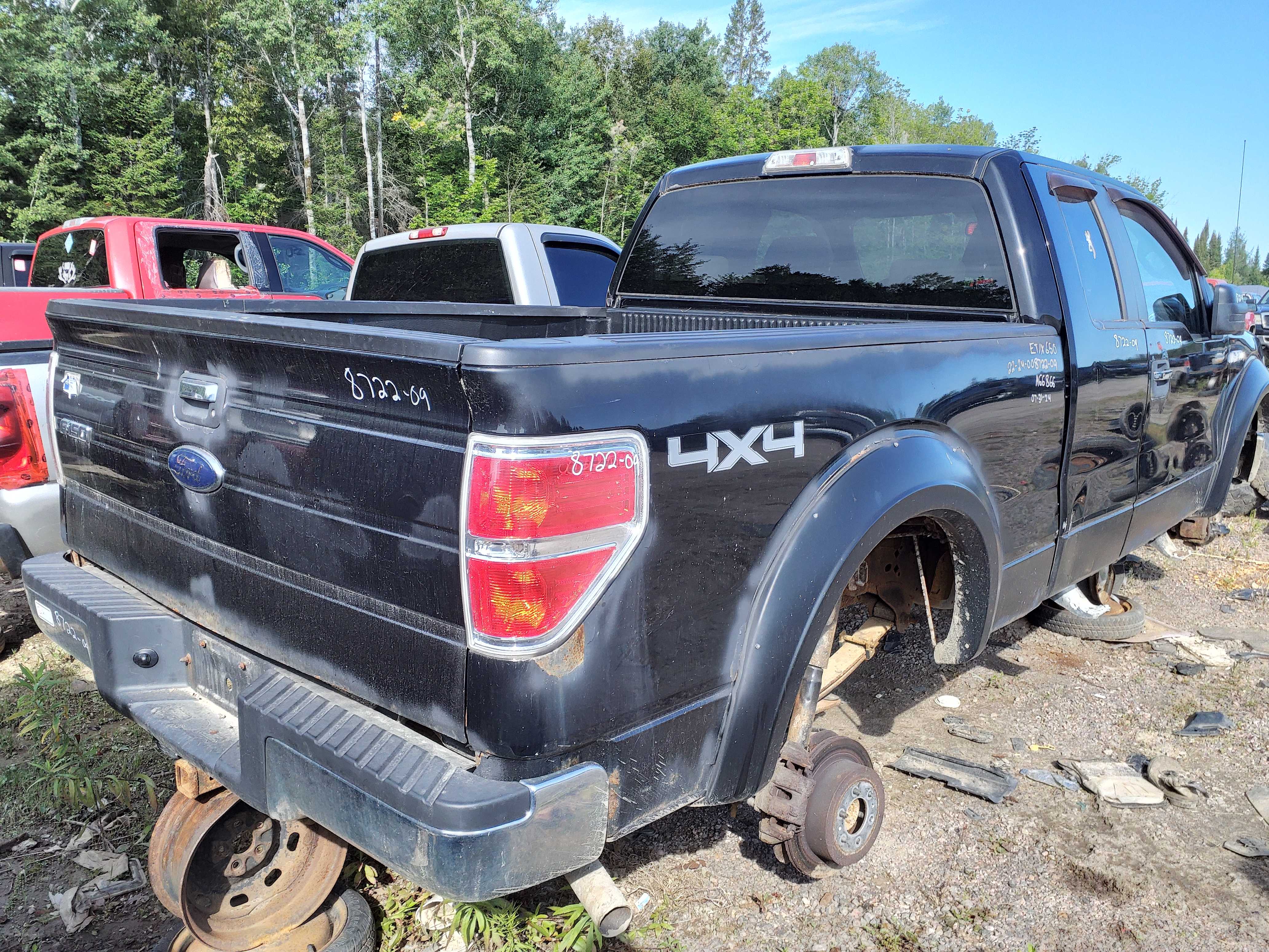 FORD F-150 2009