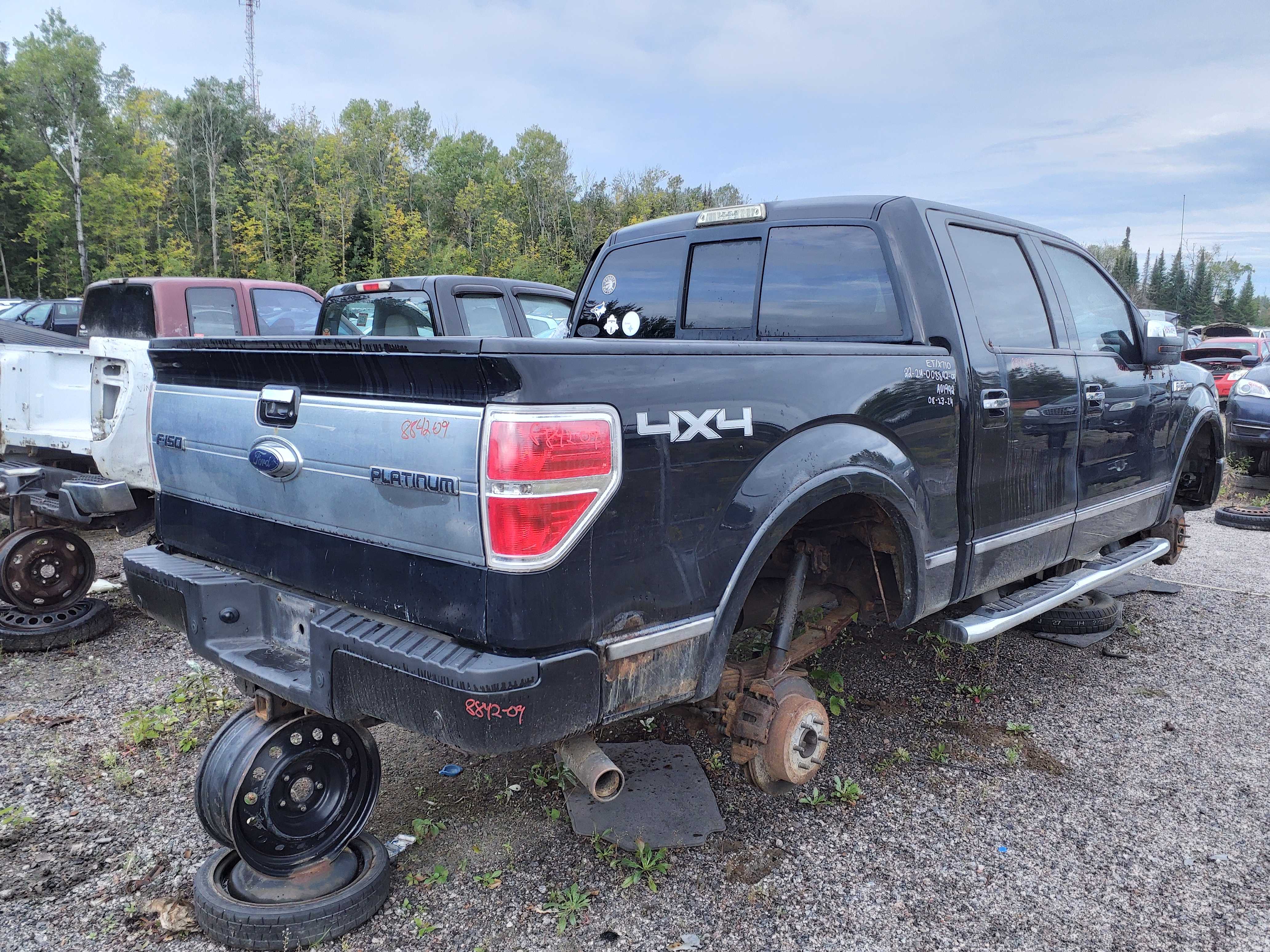 FORD F-150 2009