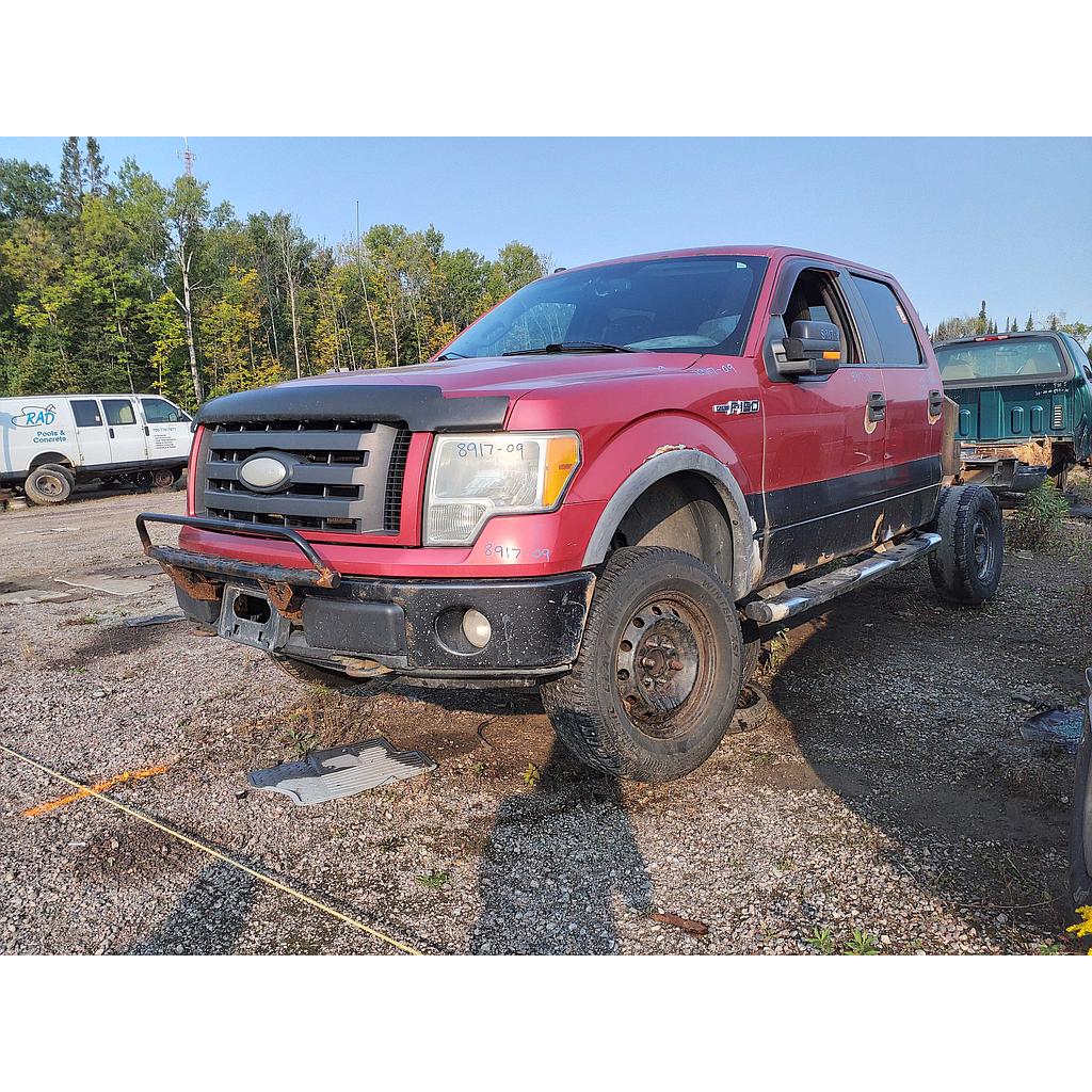 FORD F-150 2009