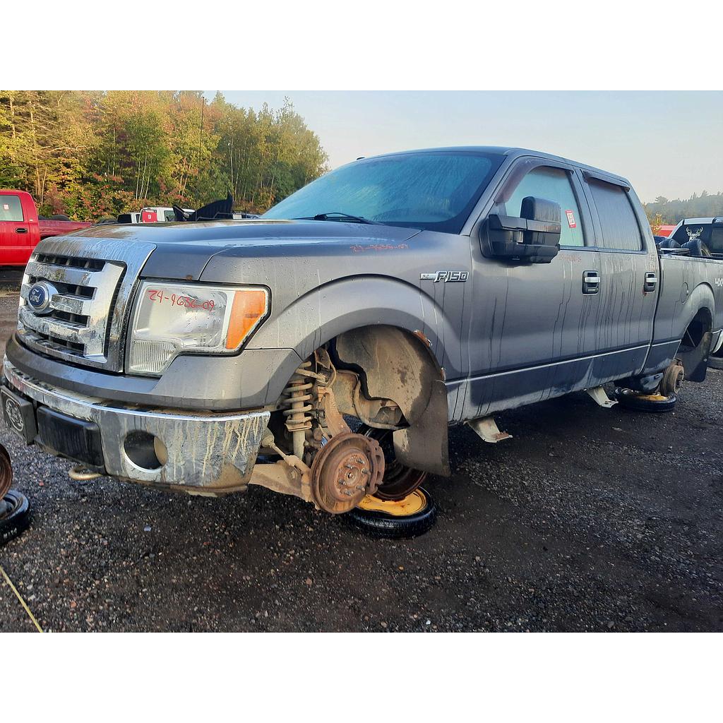 FORD F-150 2009