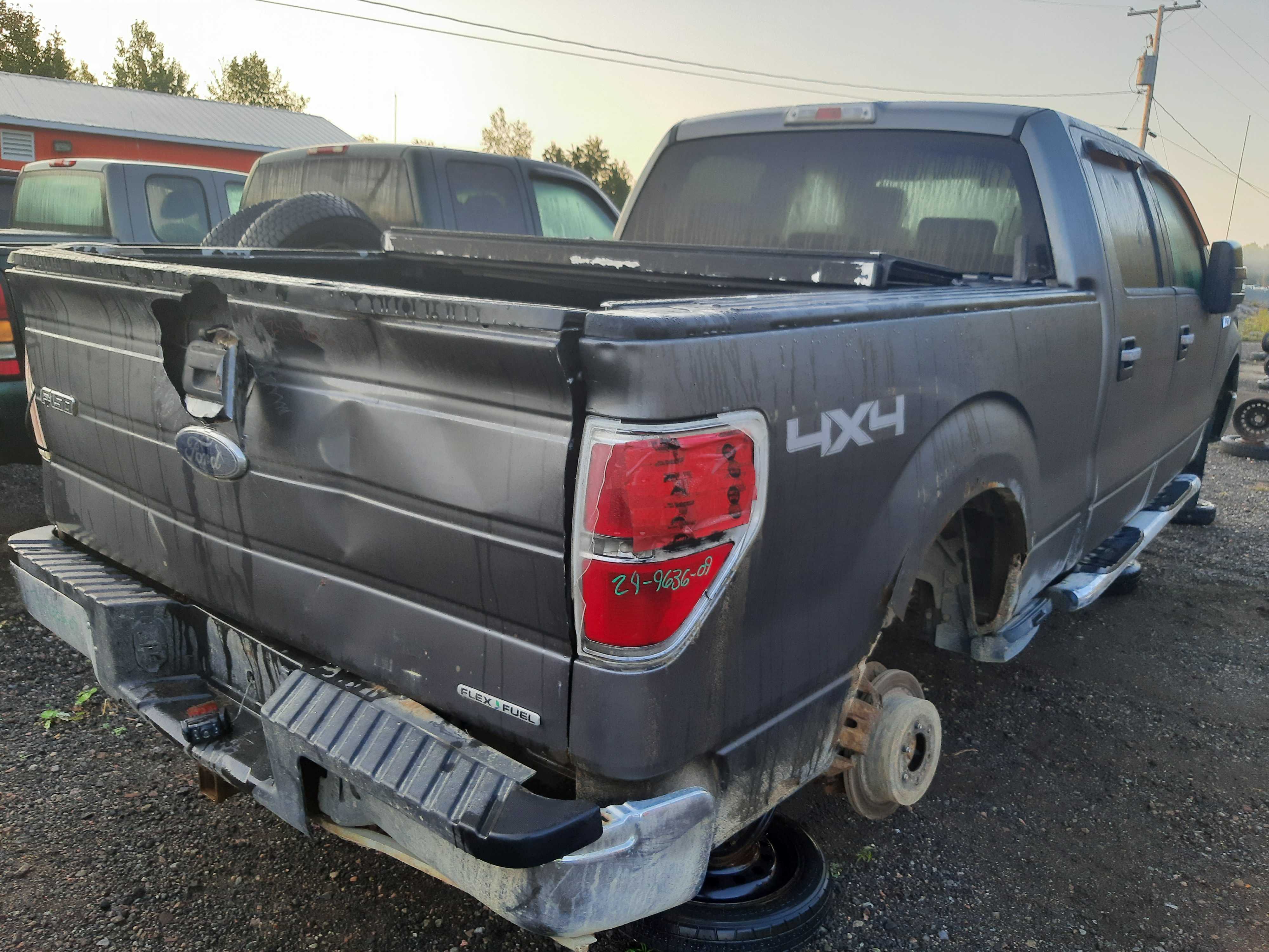 FORD F-150 2009