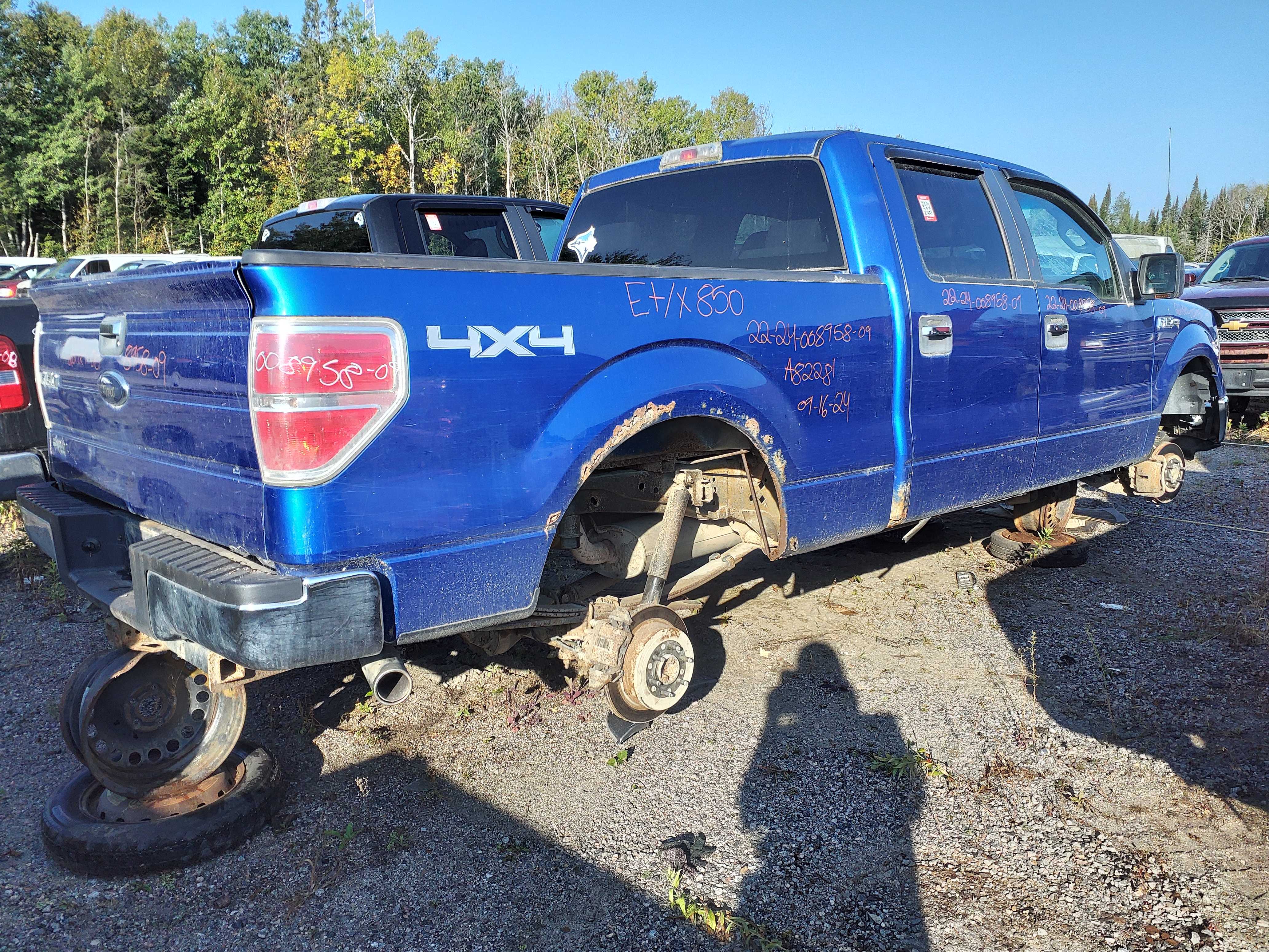 FORD F-150 2009