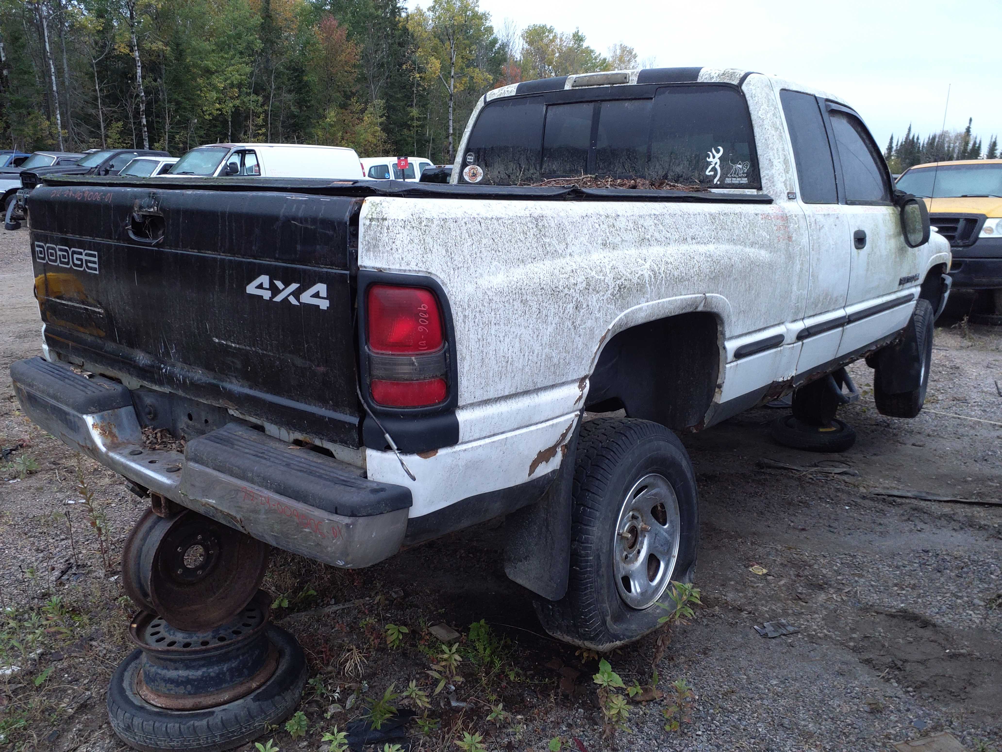 DODGE RAM 1500 2001