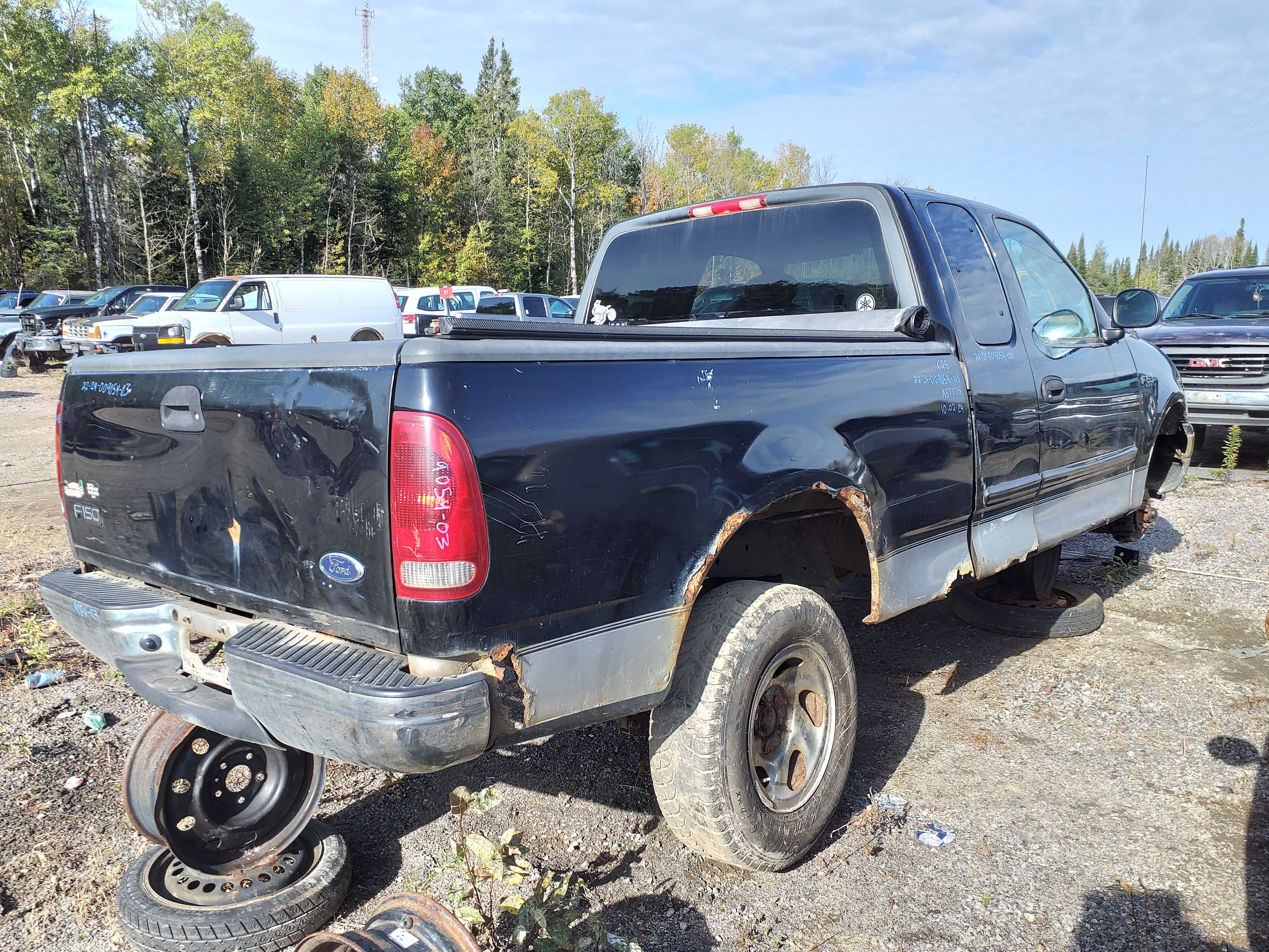FORD F-150 2003