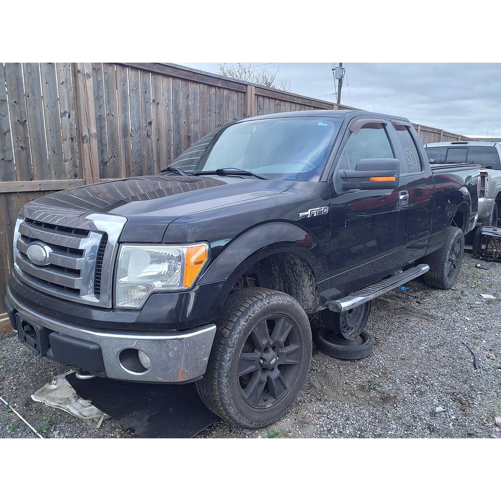 FORD F-150 2009