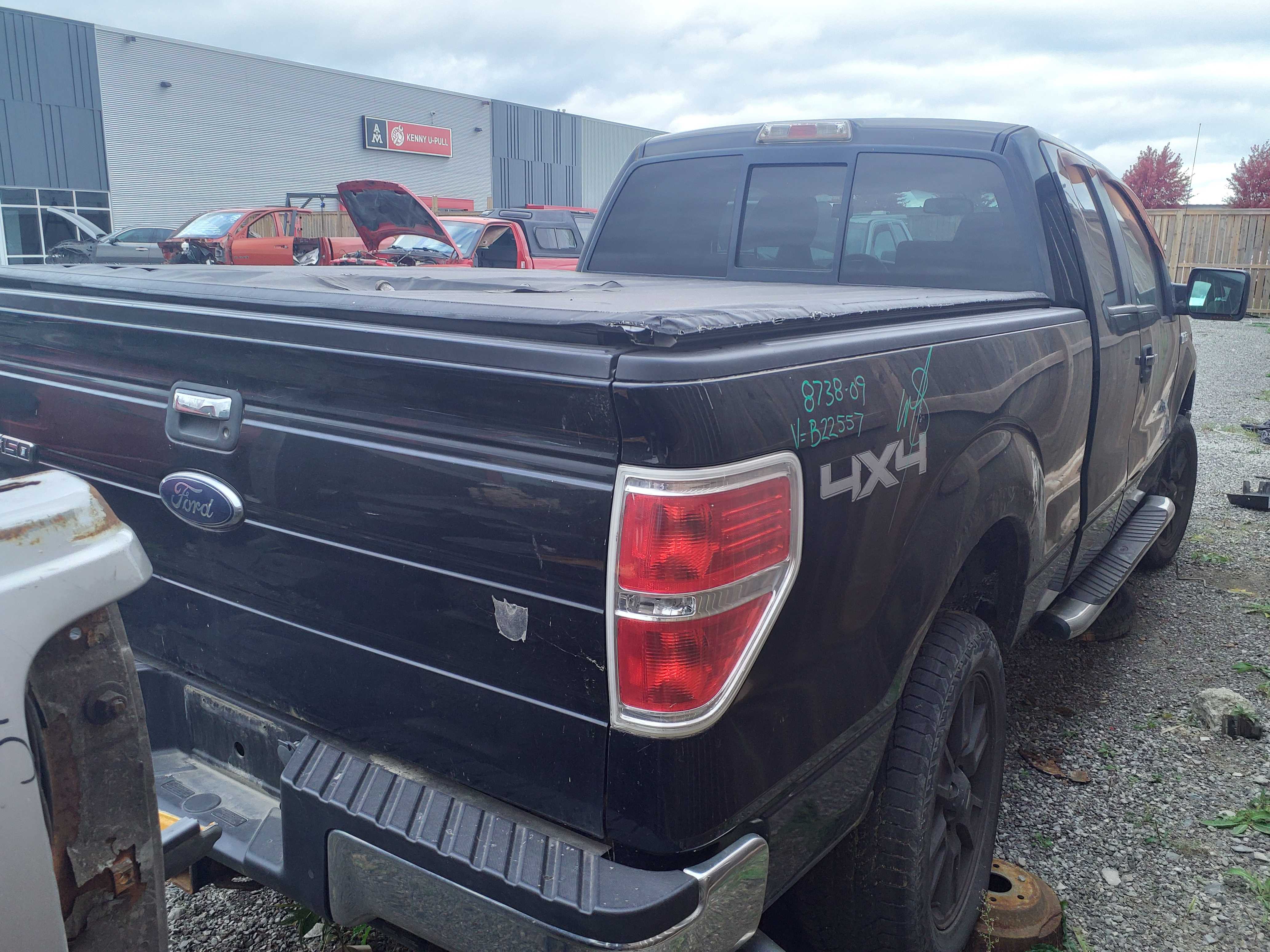 FORD F-150 2009