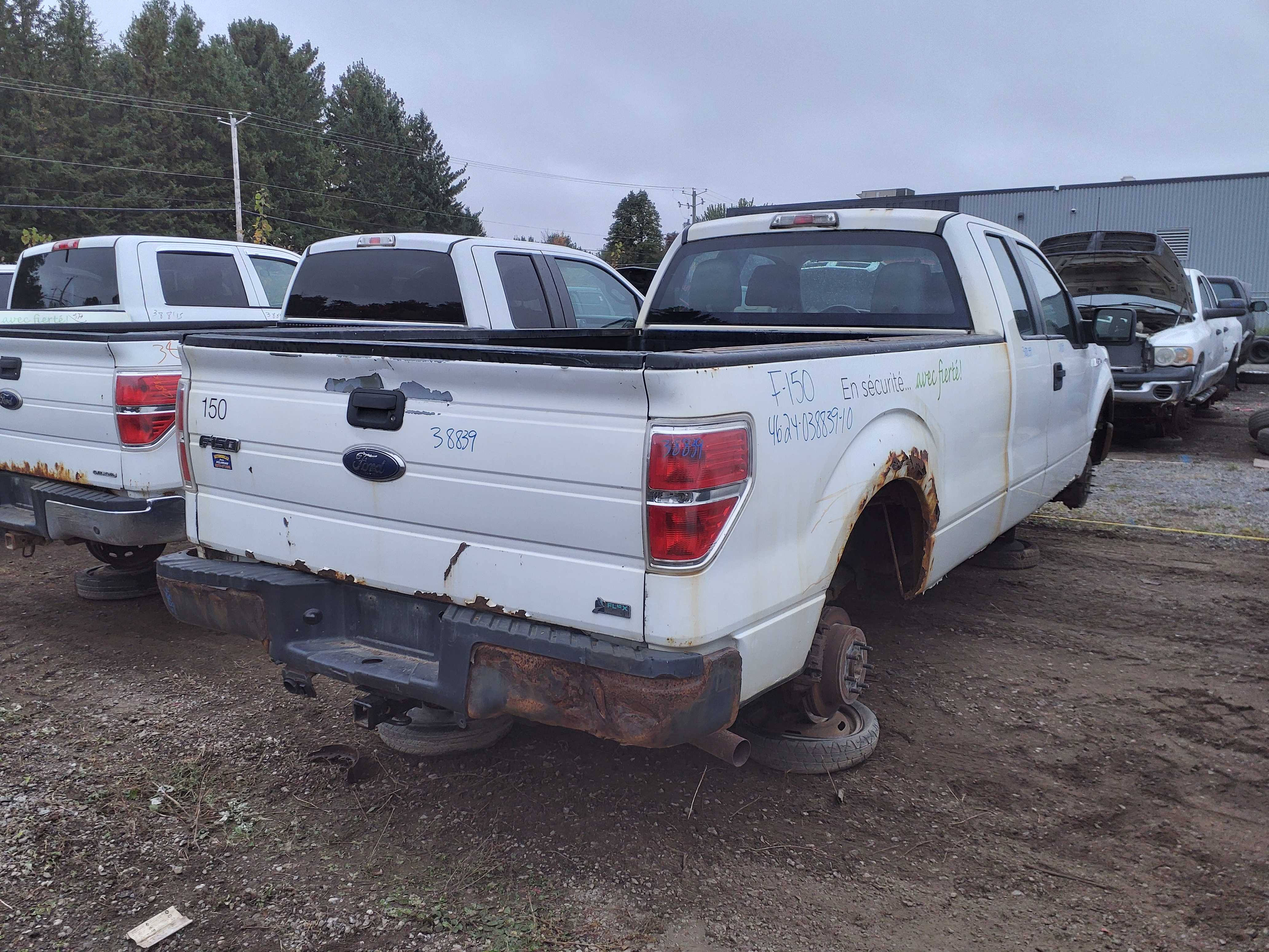 FORD F-150 2010