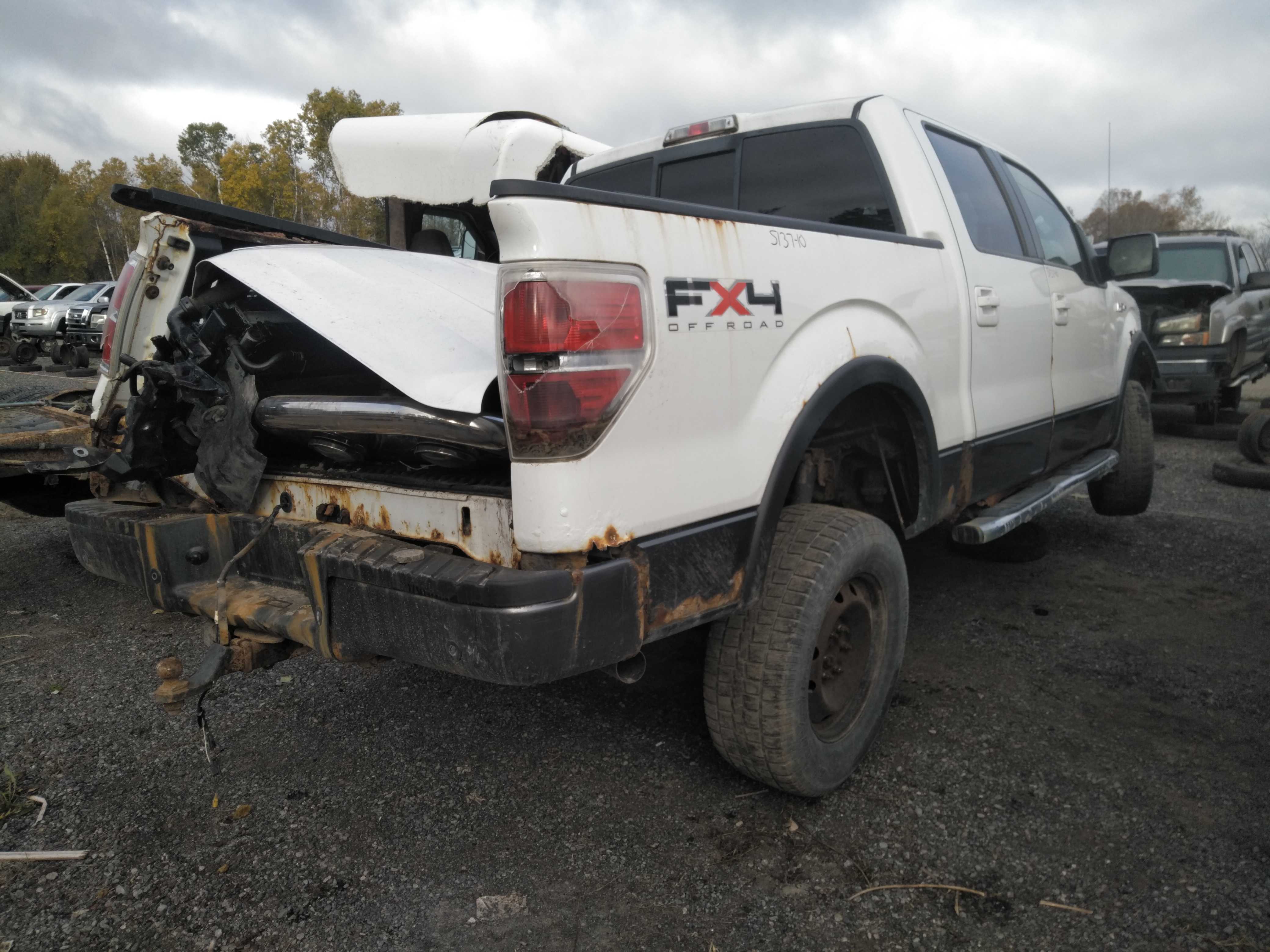 FORD F-150 2010