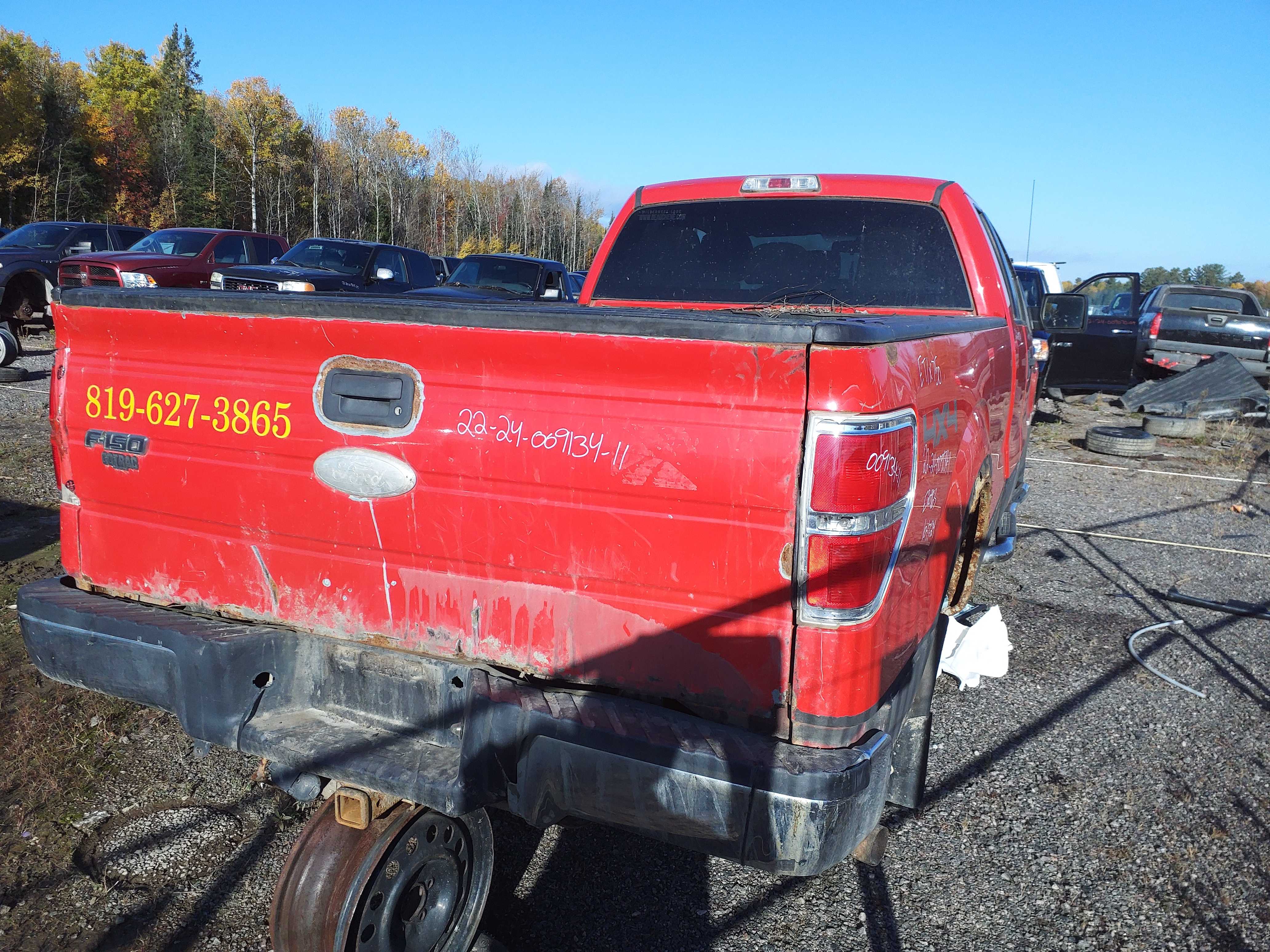 FORD F-150 2011