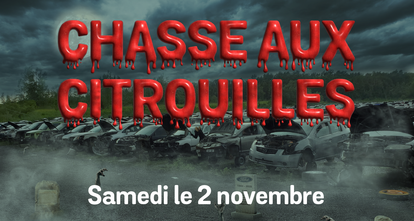 Chasse à la citrouille dans la cour