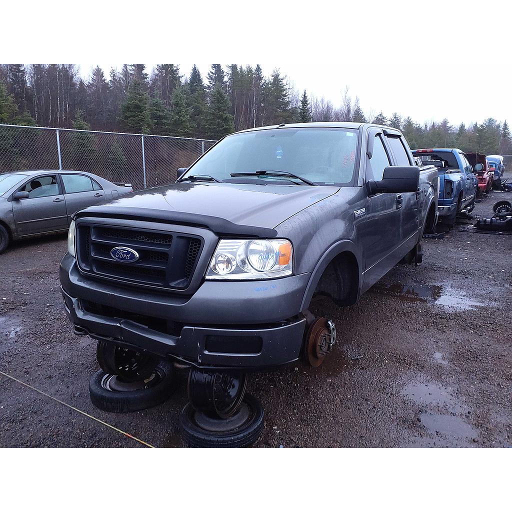 FORD F-150 2004