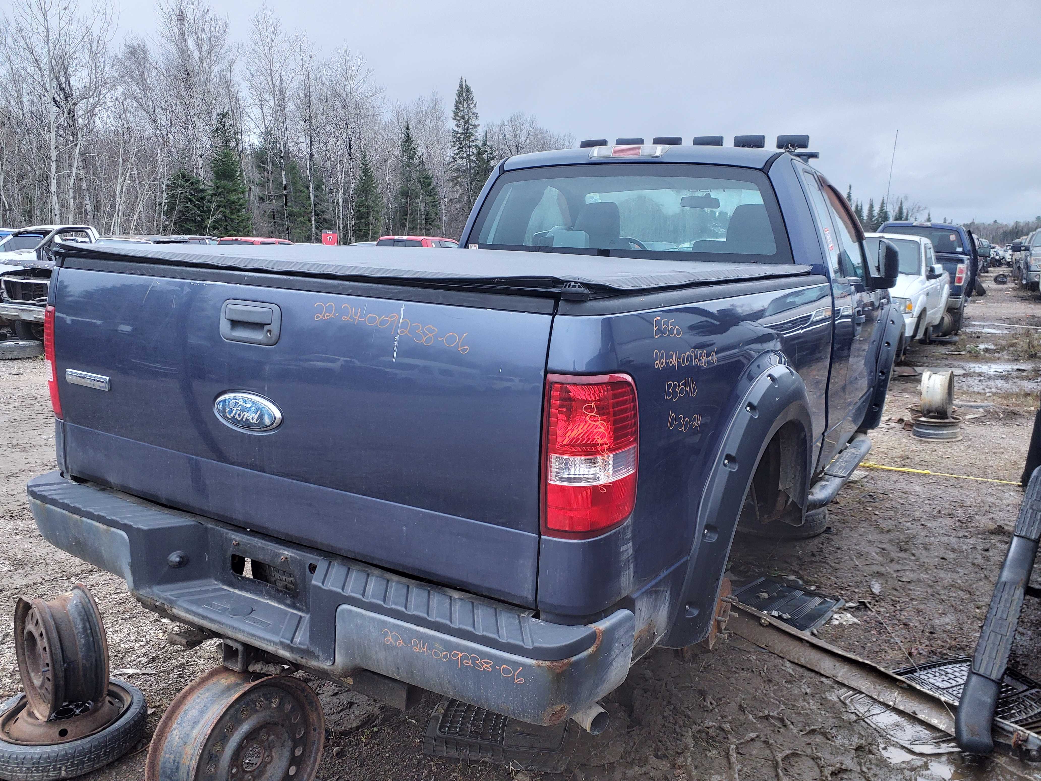 FORD F-150 2006