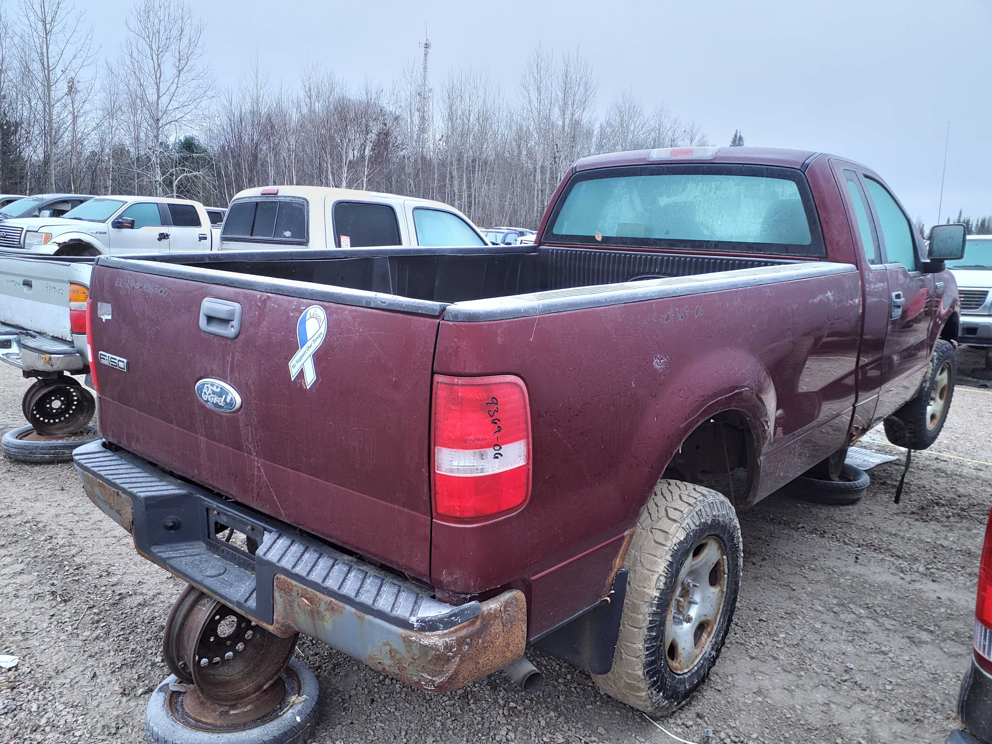 FORD F-150 2006