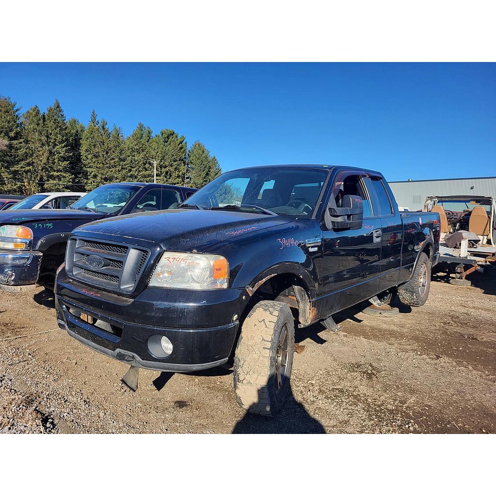 FORD F-150 2007