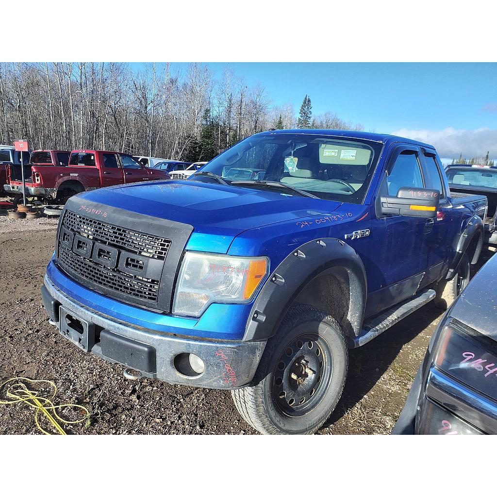 FORD F-150 2010
