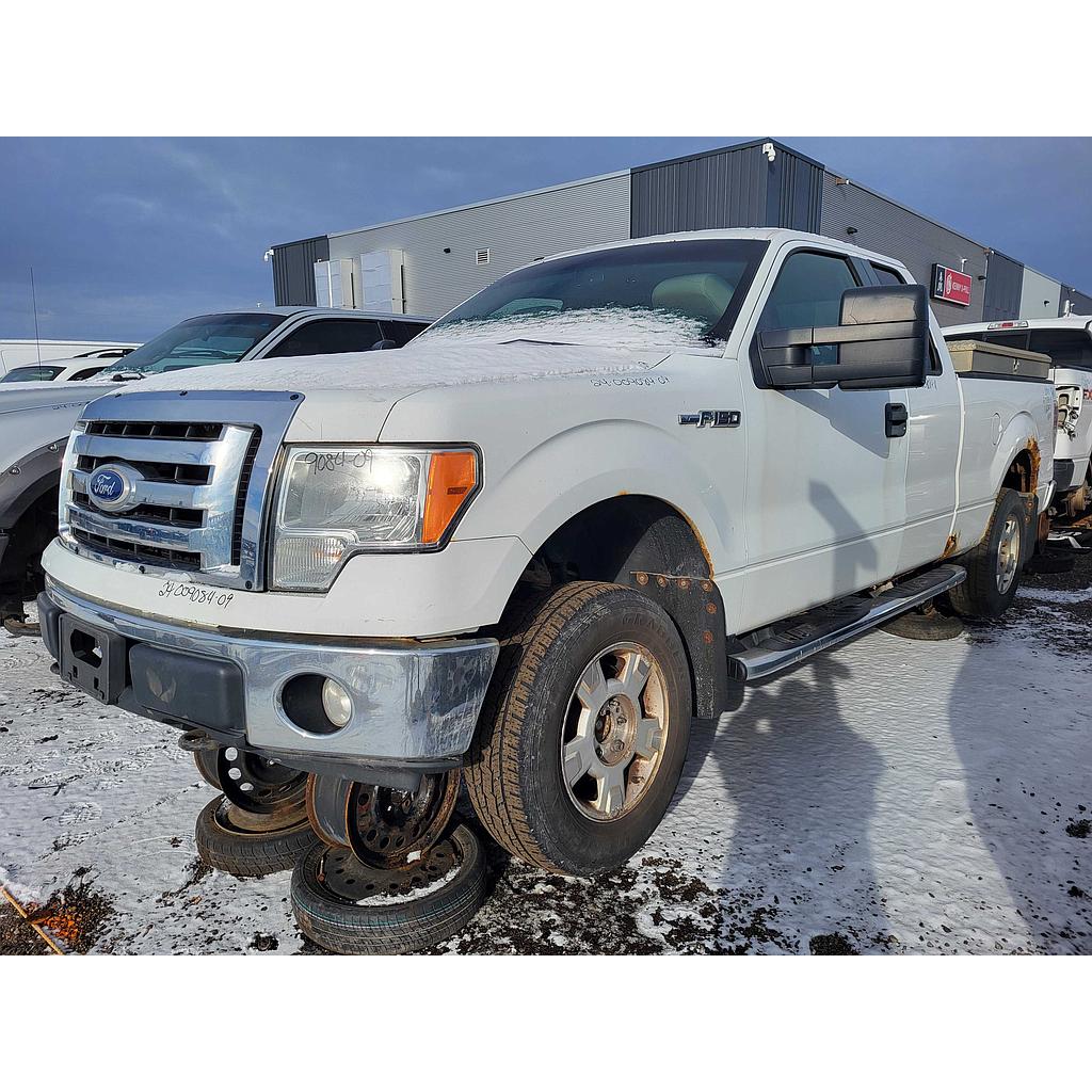FORD F-150 2009