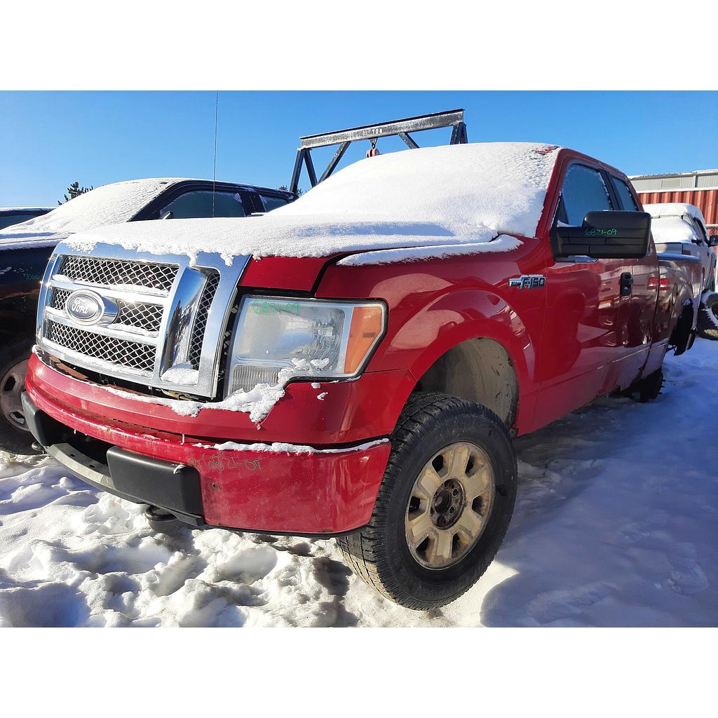 FORD F-150 2009