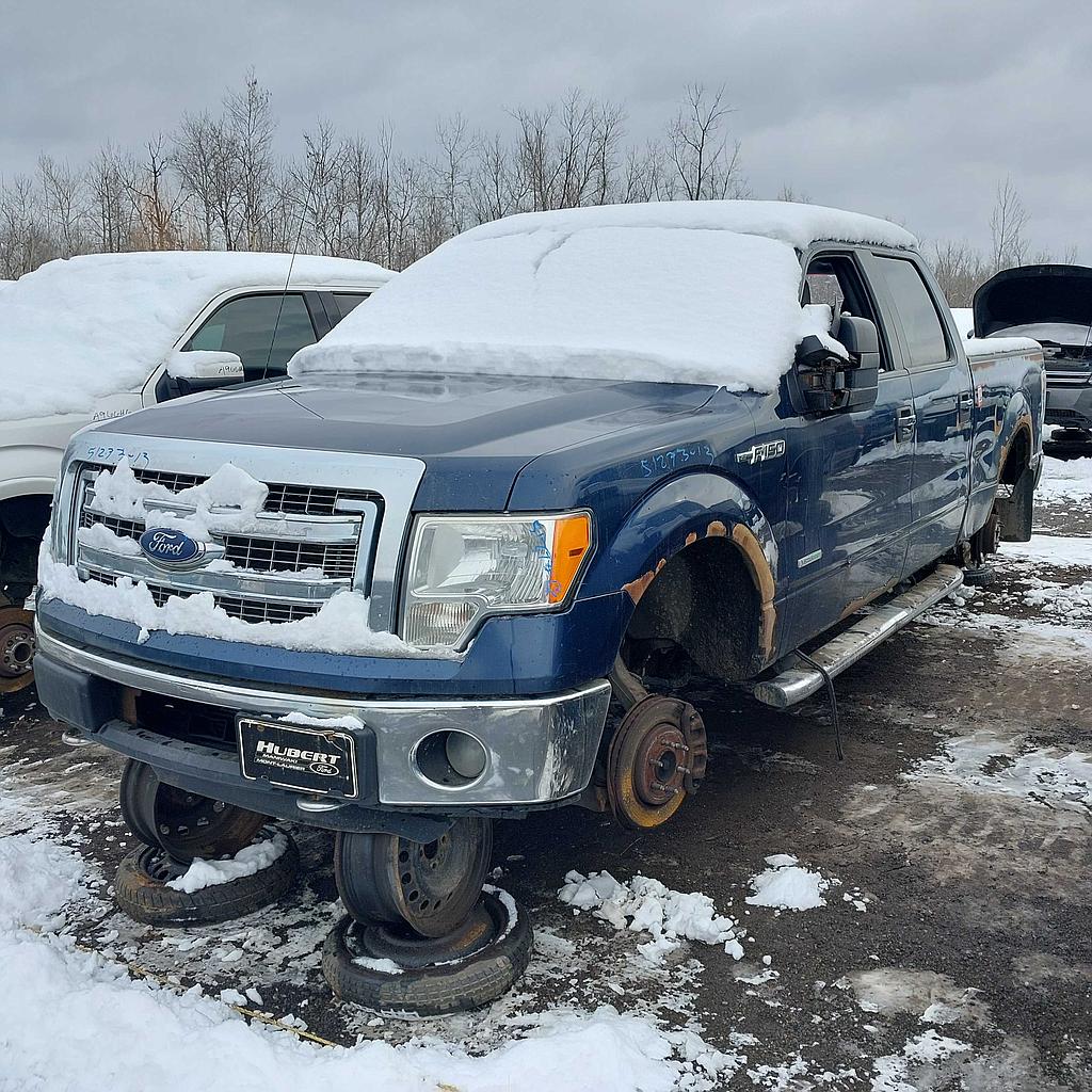 FORD F-150 2013