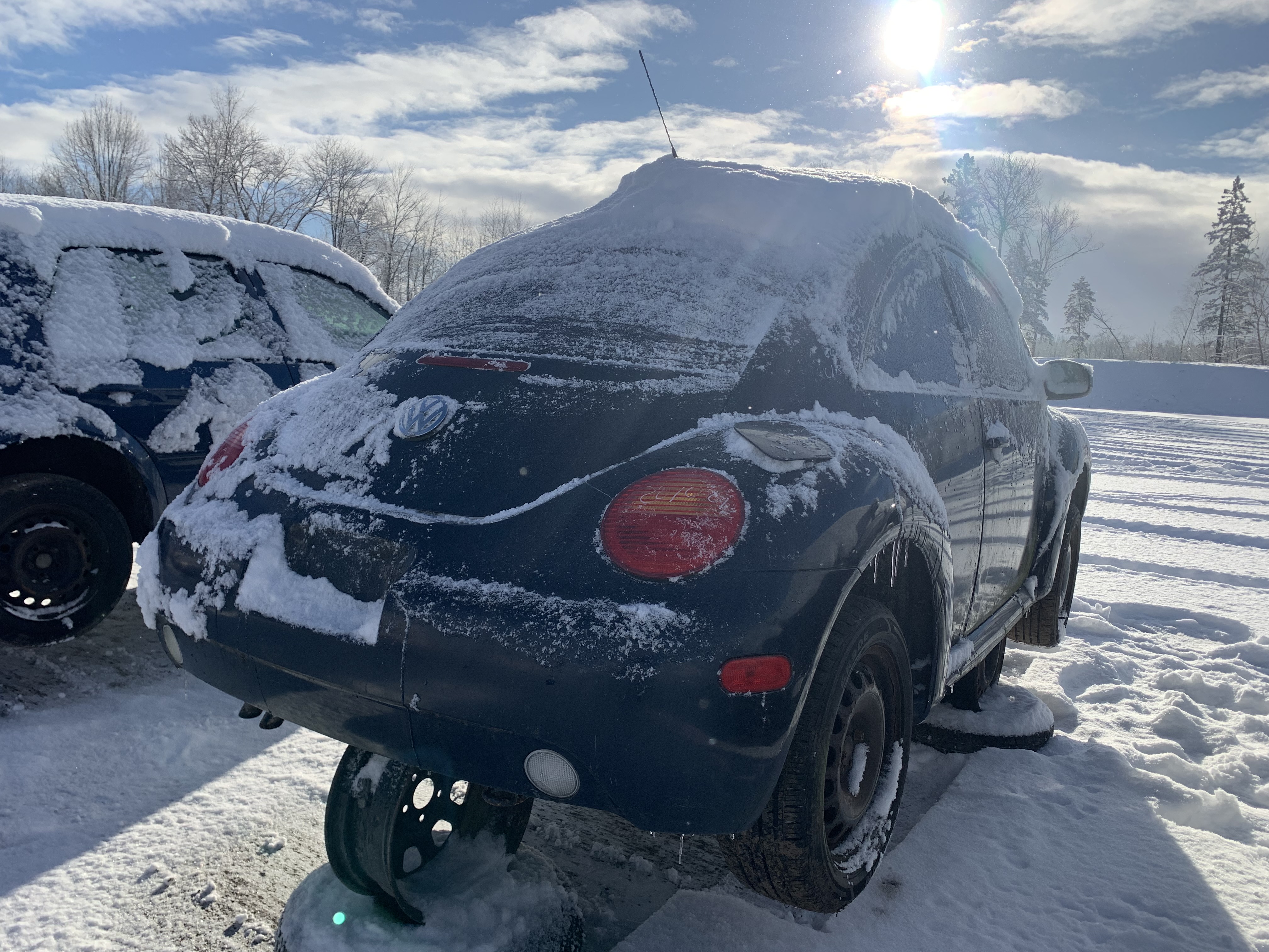 VOLKSWAGEN NEW BEETLE 2001