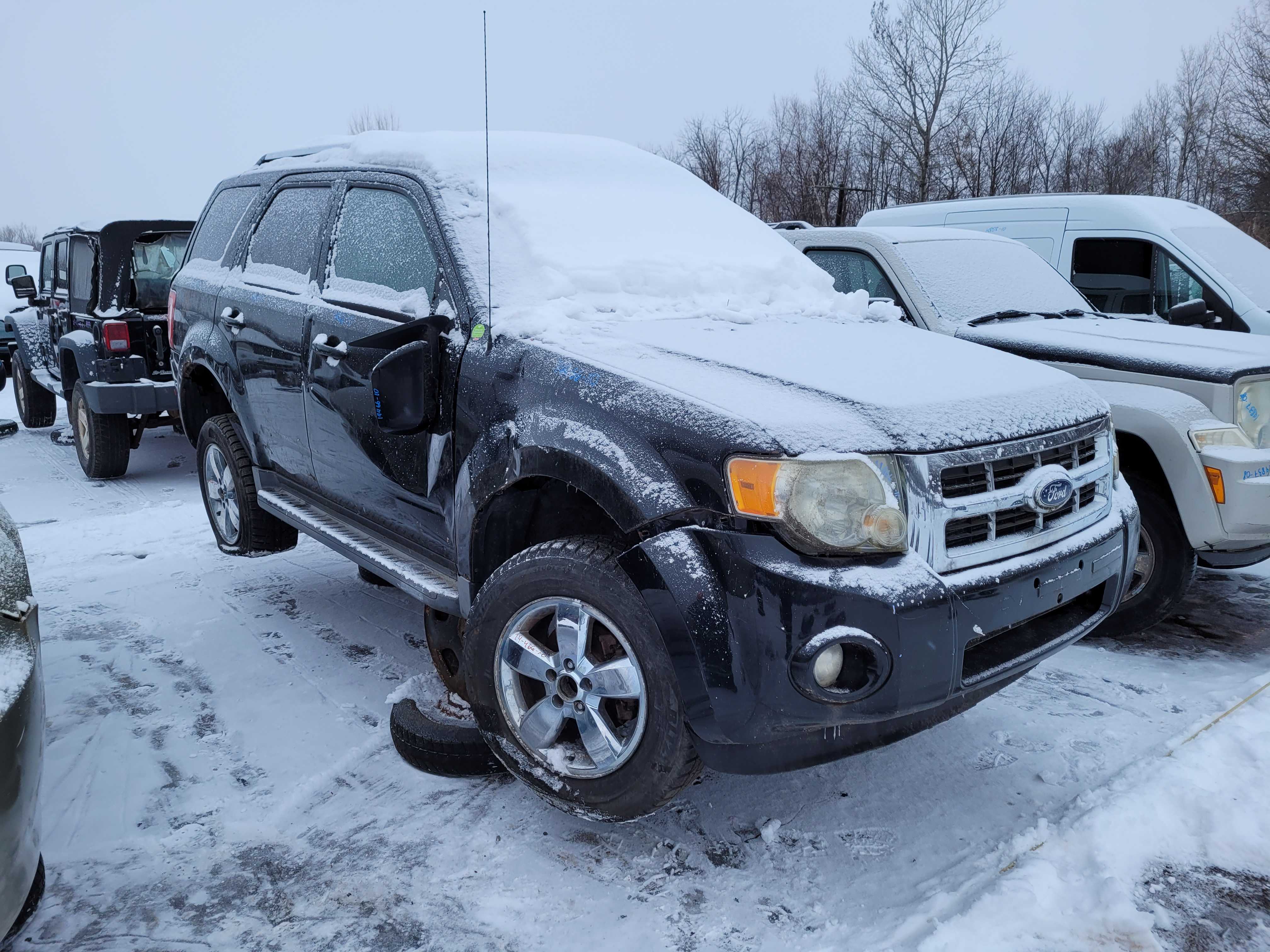 FORD ESCAPE 2010