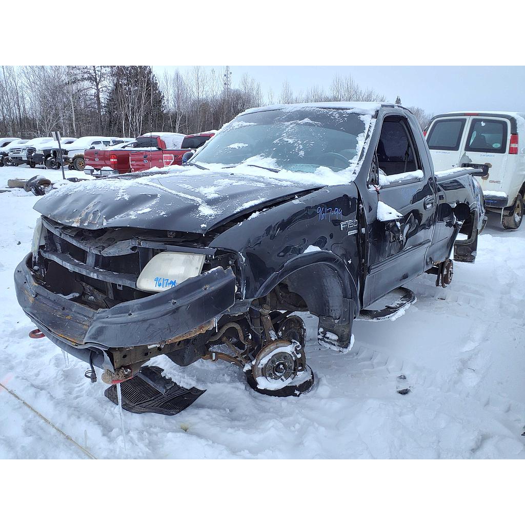 FORD F-150 1999