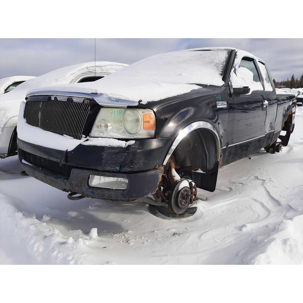 FORD F-150 2004