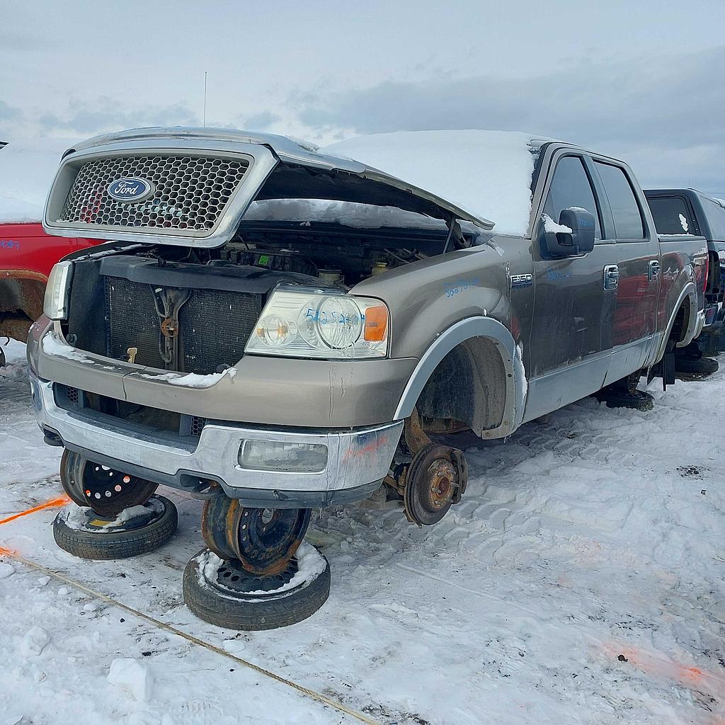 FORD F-150 2004