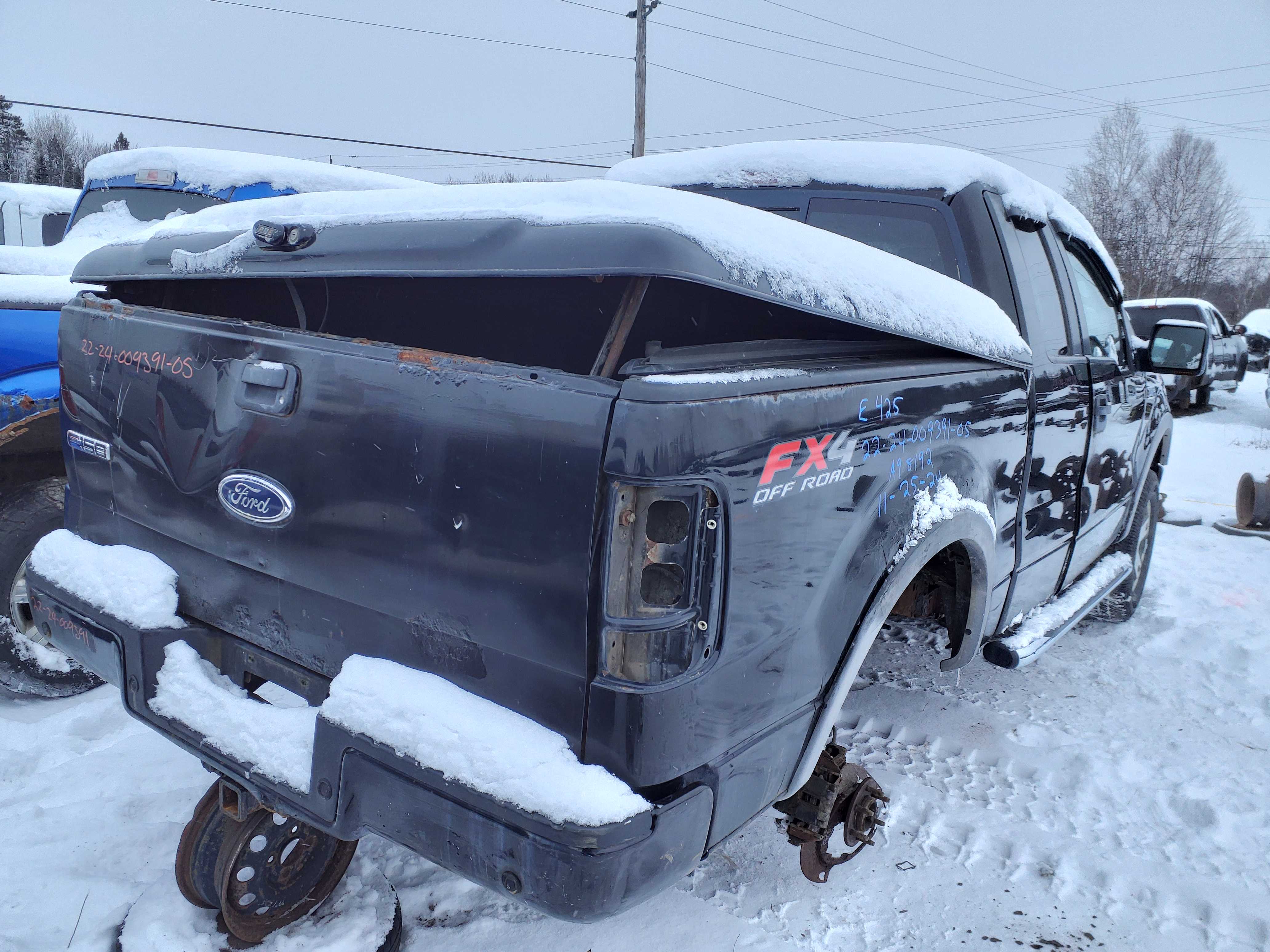 FORD F-150 2005