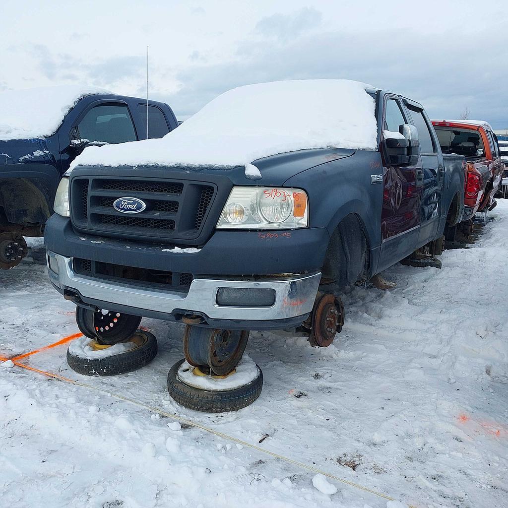 FORD F-150 2005