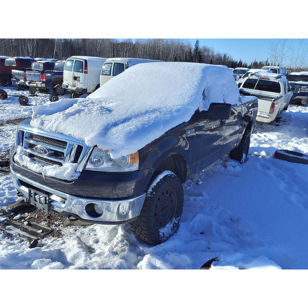 FORD F-150 2007