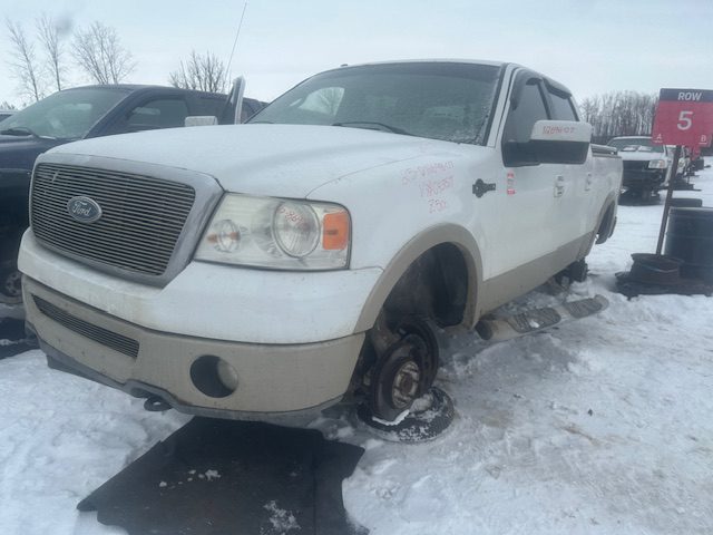 FORD F-150 2007