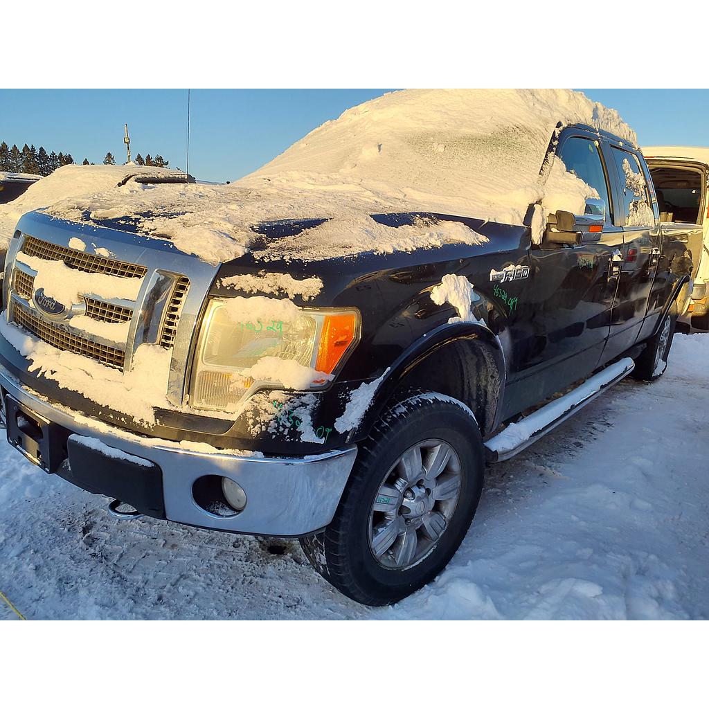 FORD F-150 2009