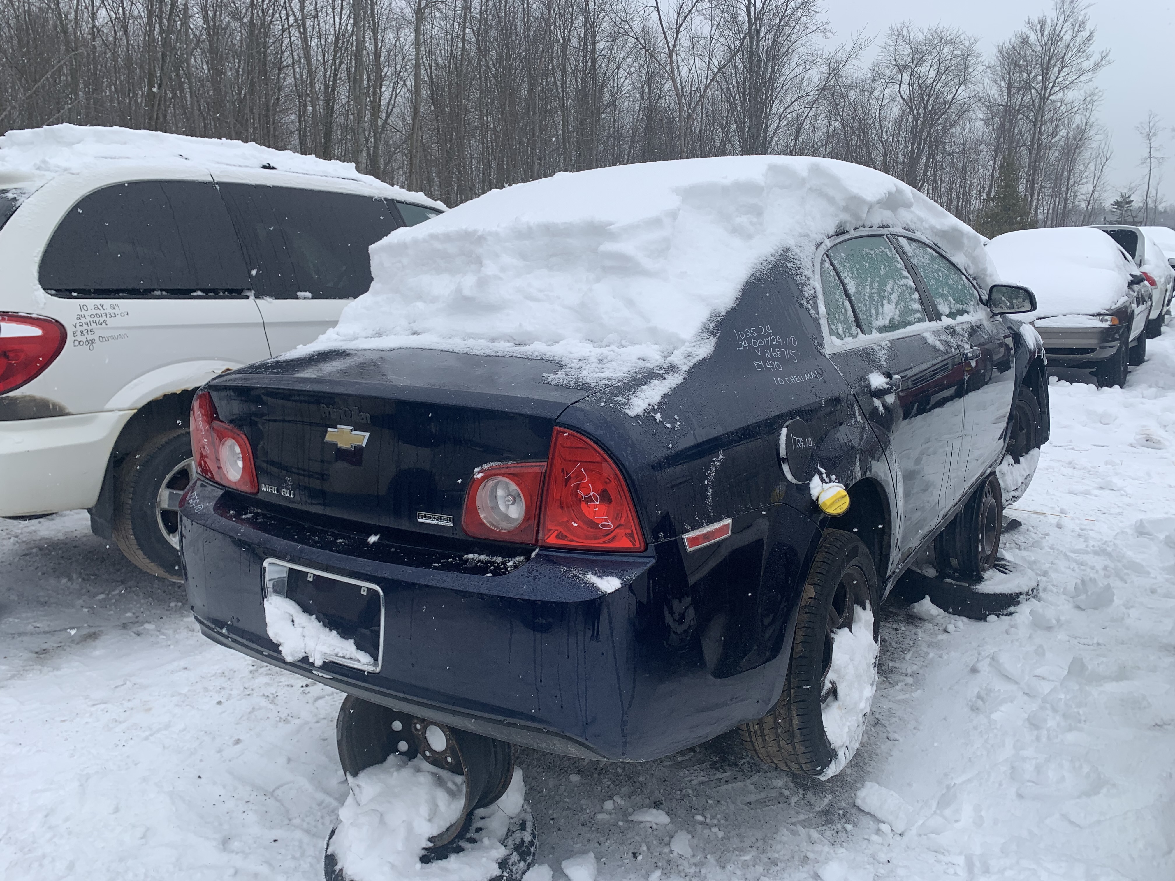 CHEVROLET MALIBU 2010