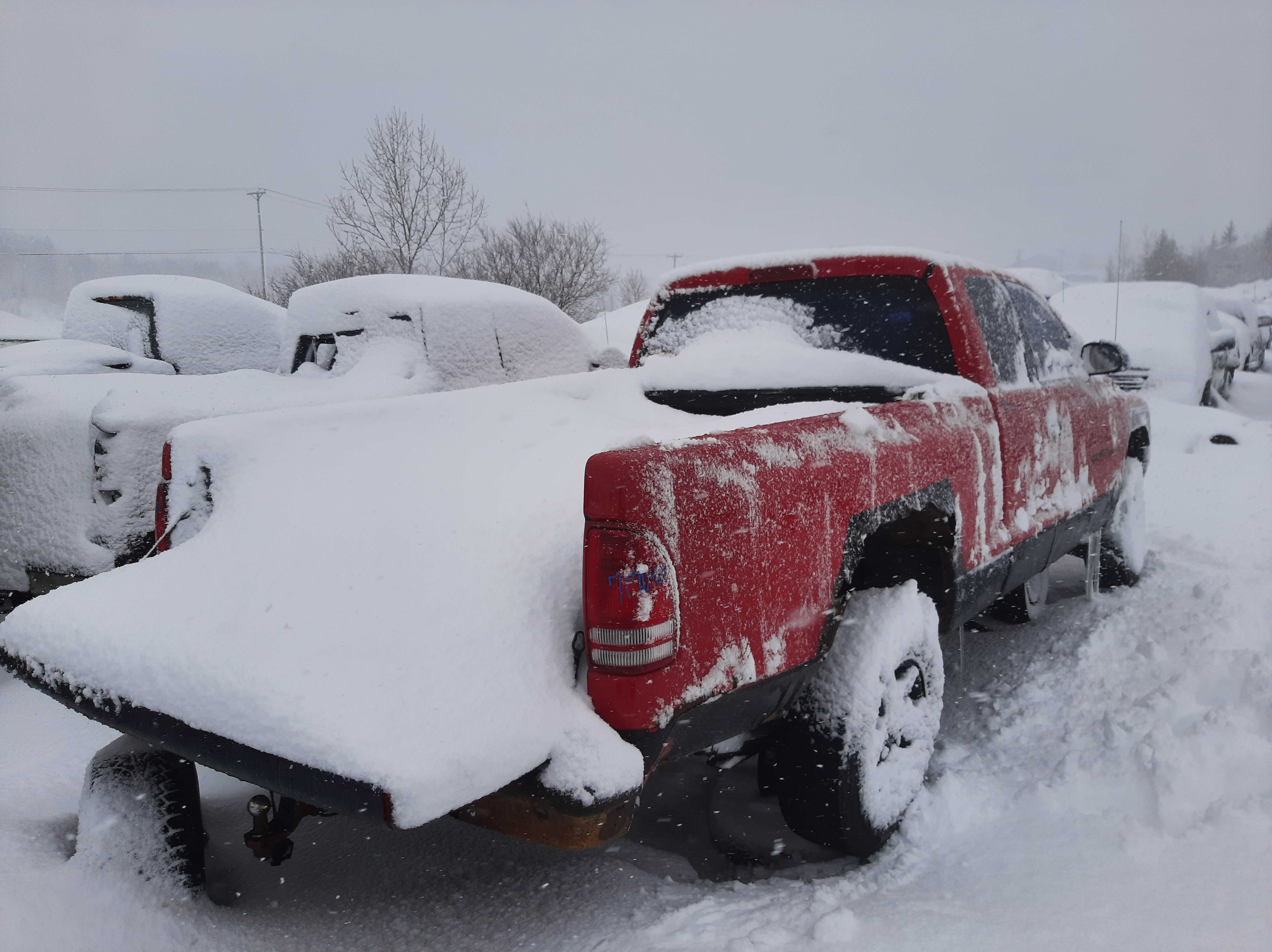 DODGE DAKOTA 2001