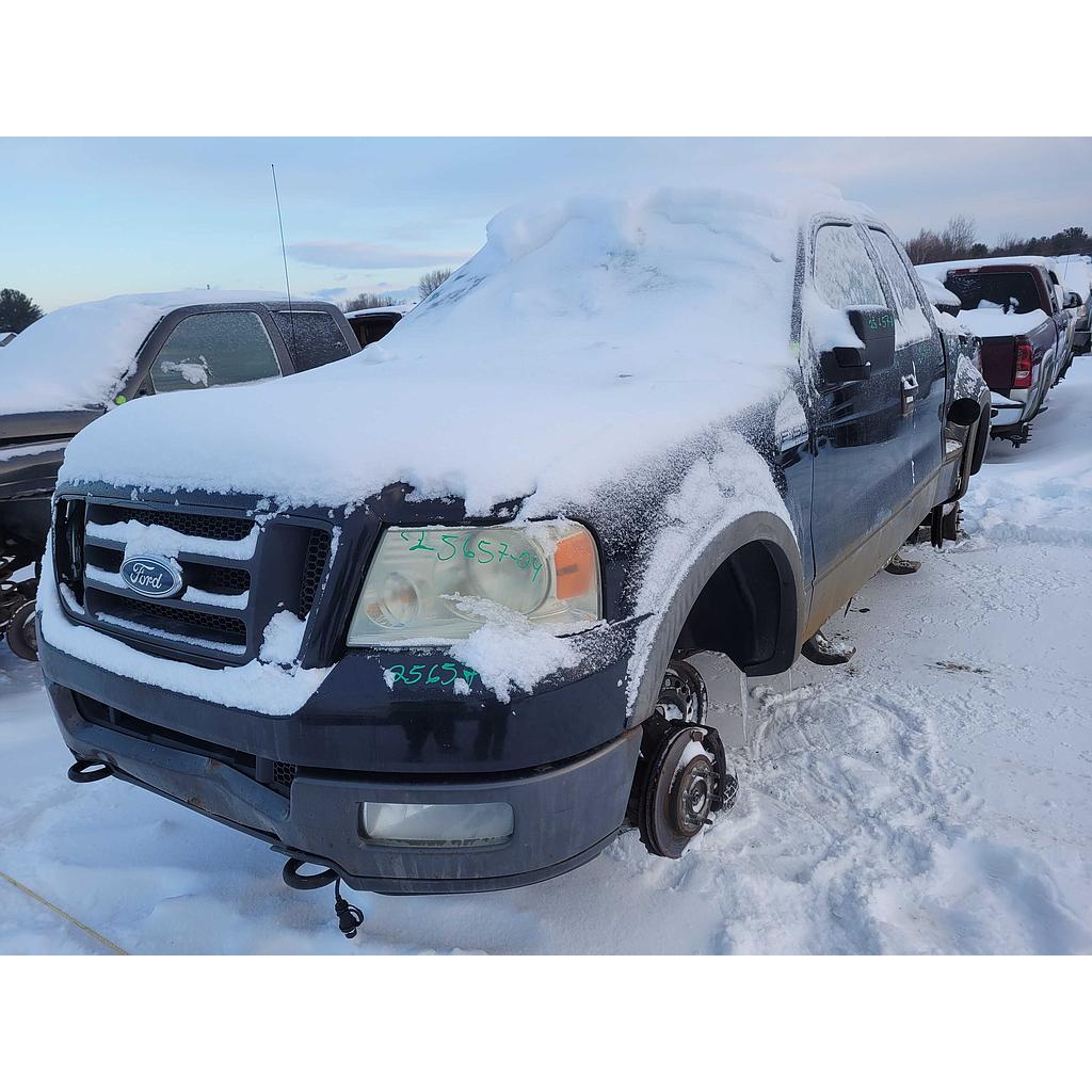 FORD F-150 2004