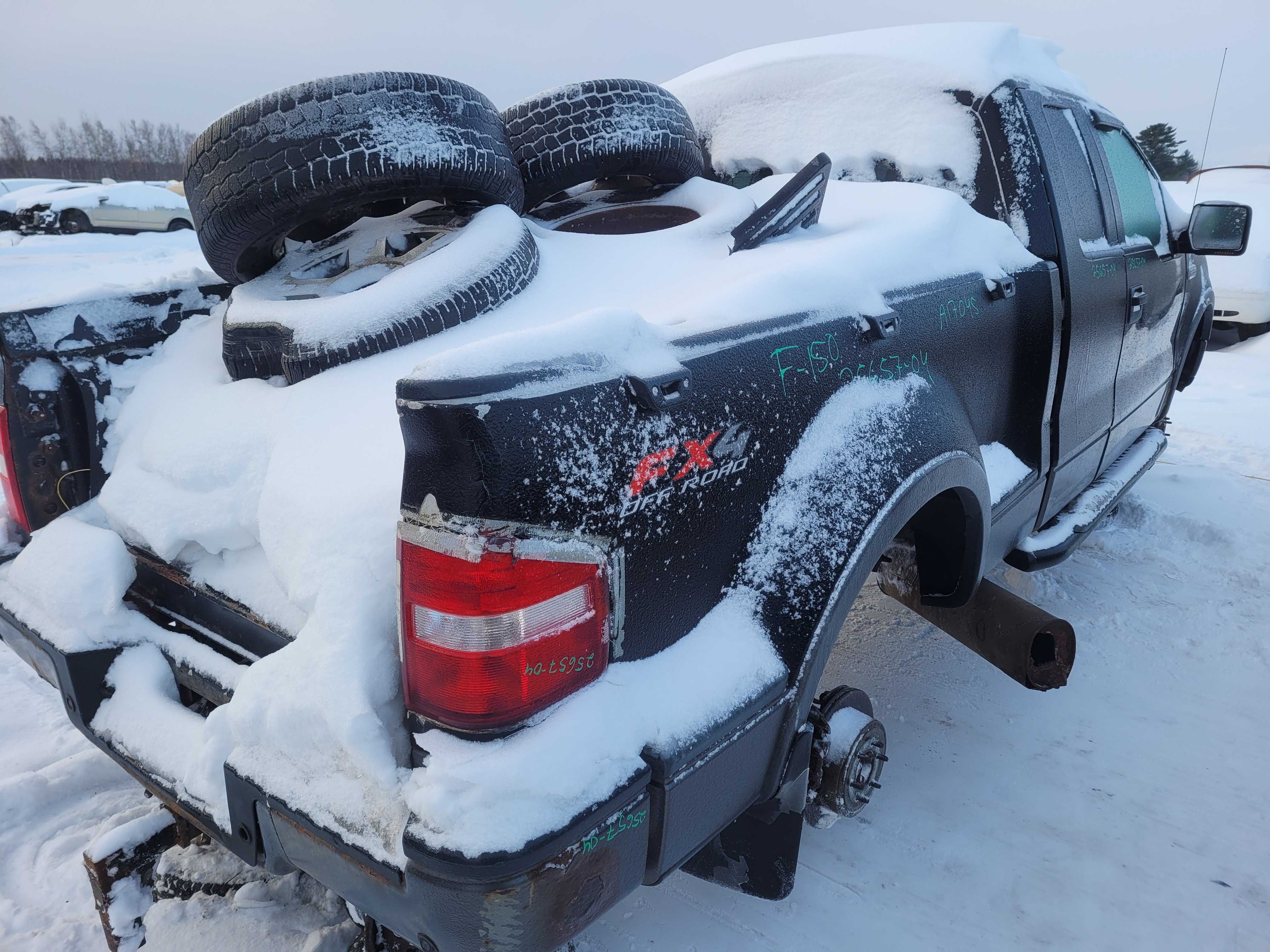 FORD F-150 2004