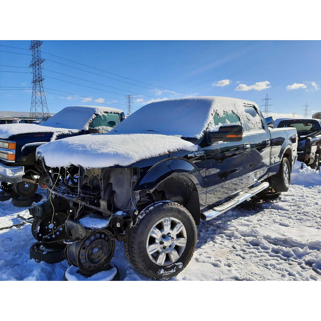 FORD F-150 2009