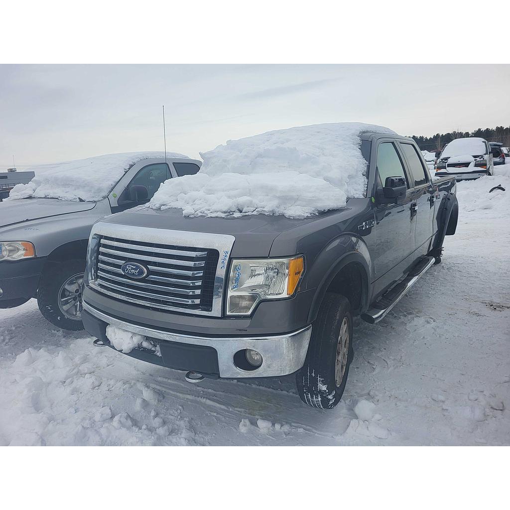 FORD F-150 2010