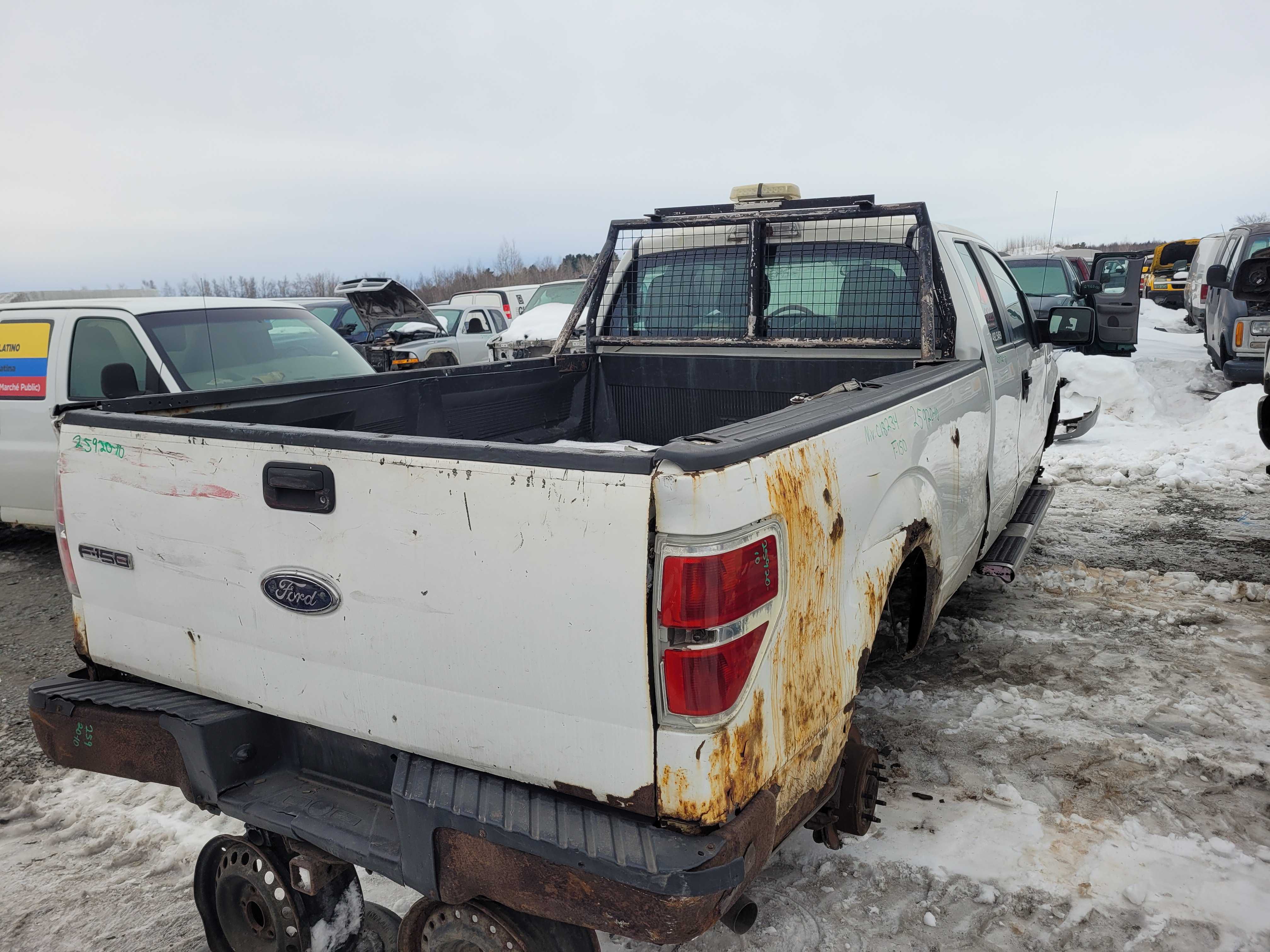 FORD F-150 2010