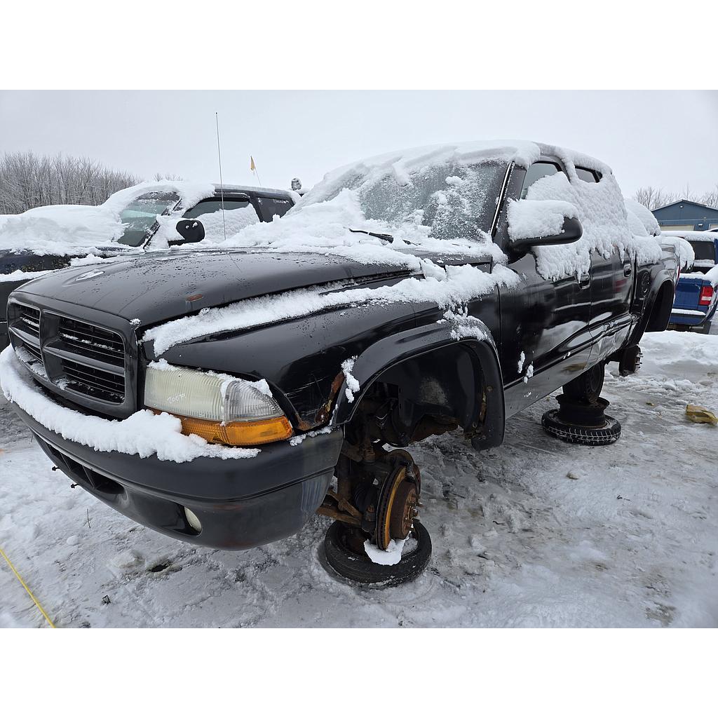 DODGE DAKOTA 2004