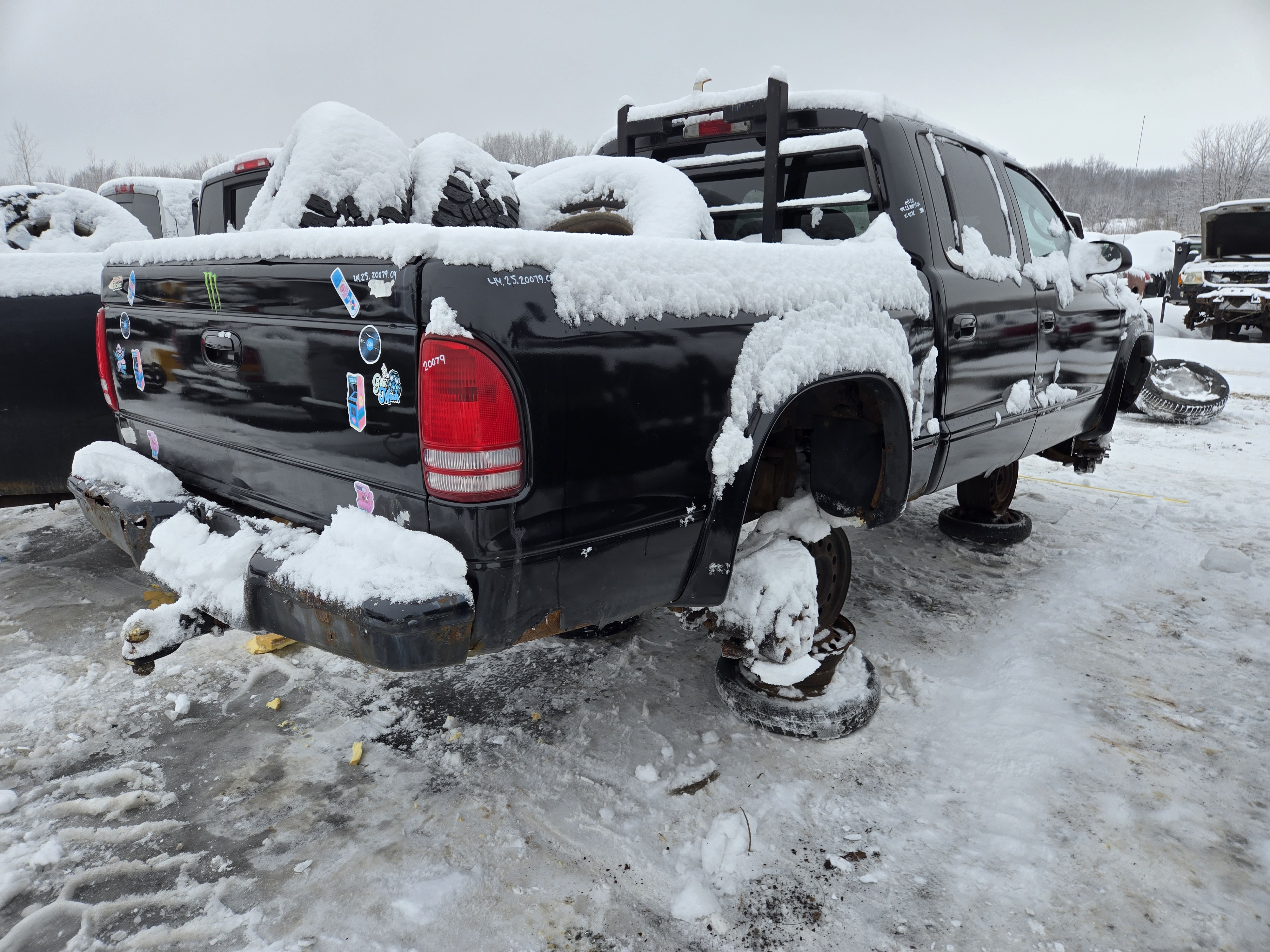 DODGE DAKOTA 2004