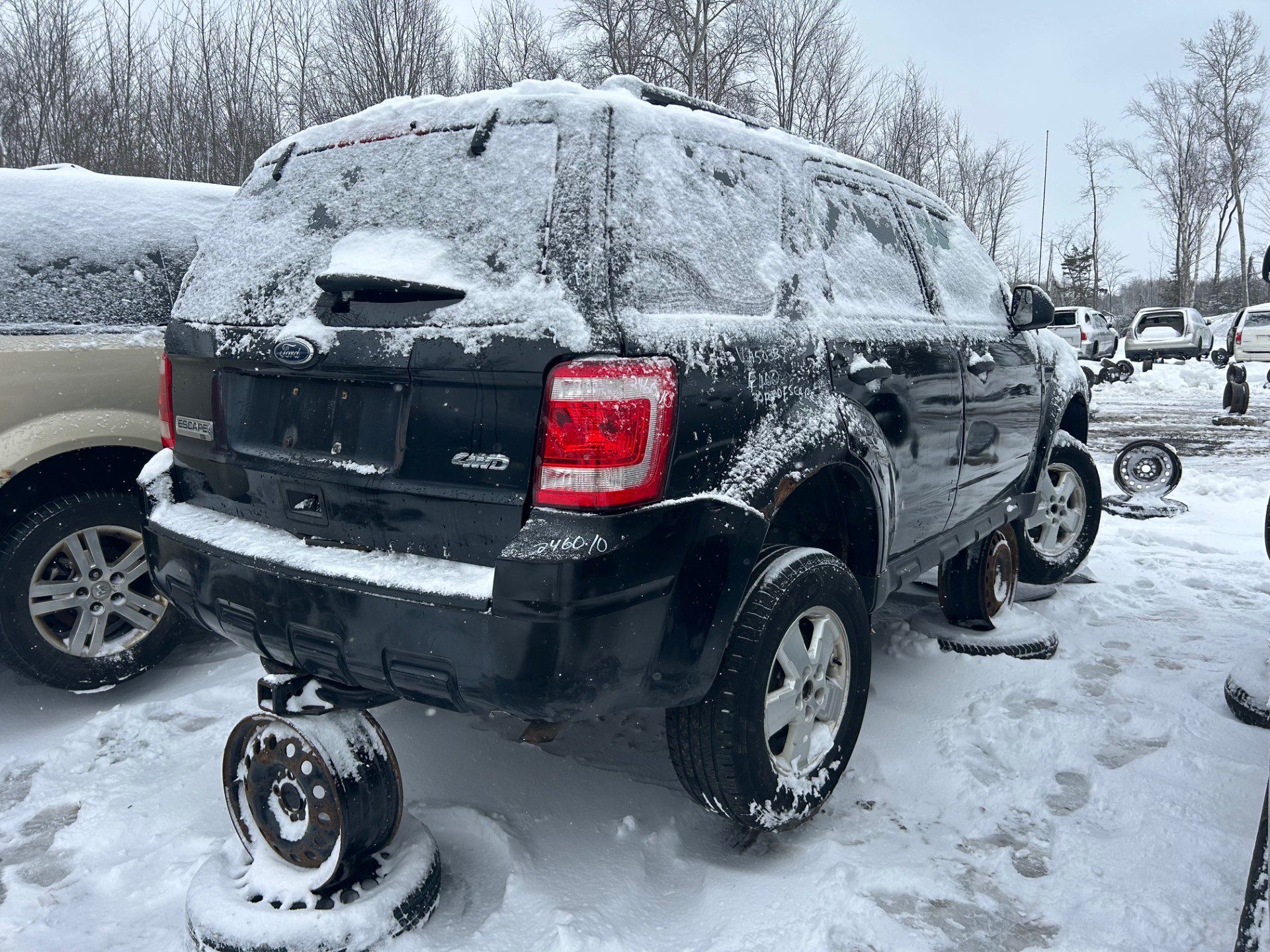 FORD ESCAPE 2010