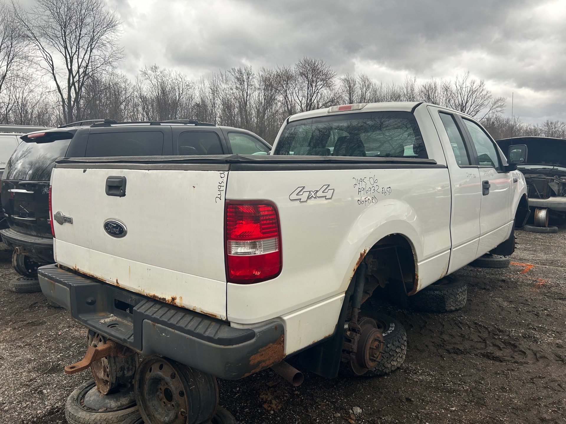 FORD F-150 2006
