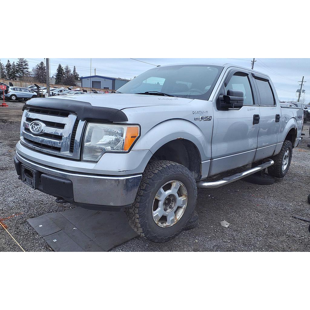 FORD F-150 2009
