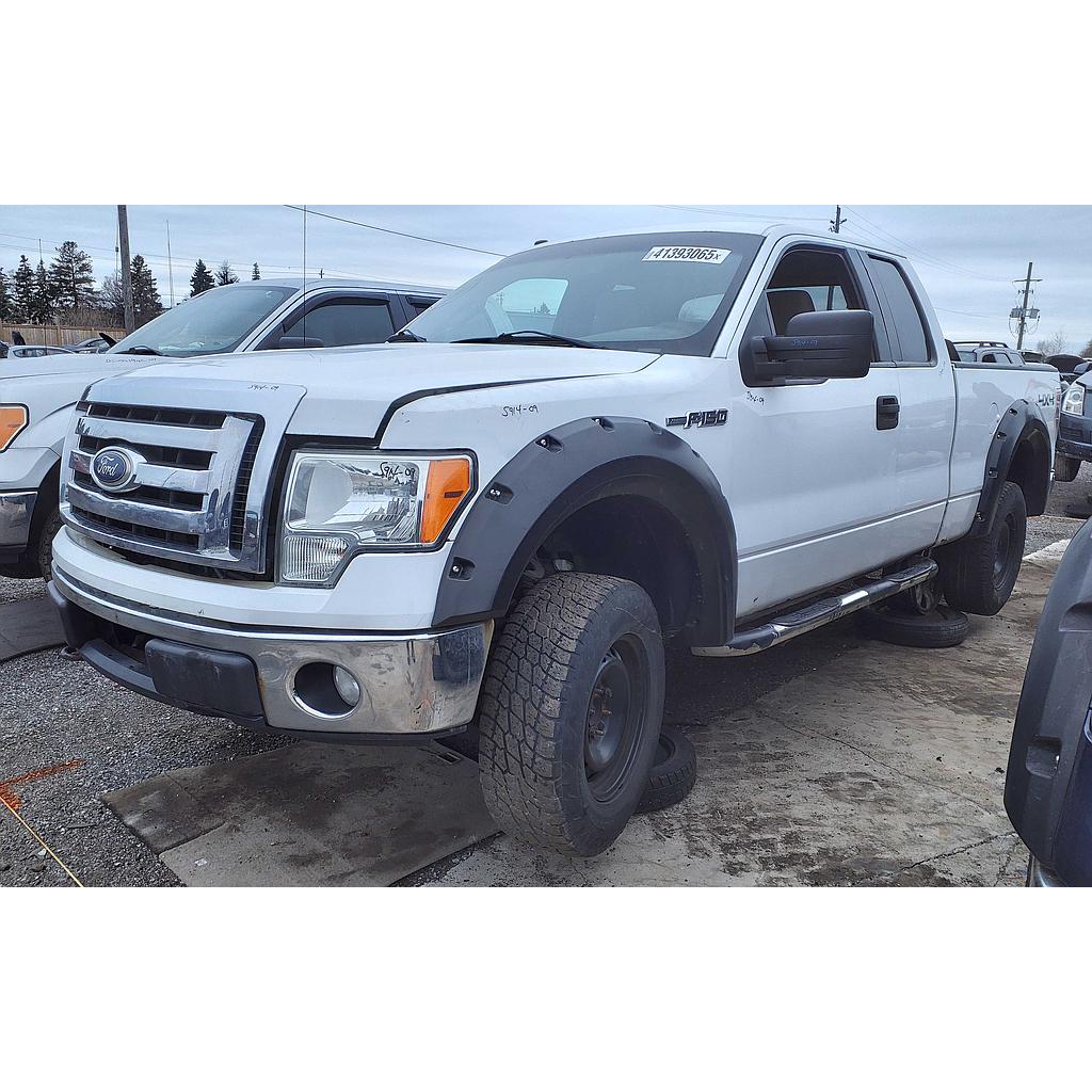 FORD F-150 2009