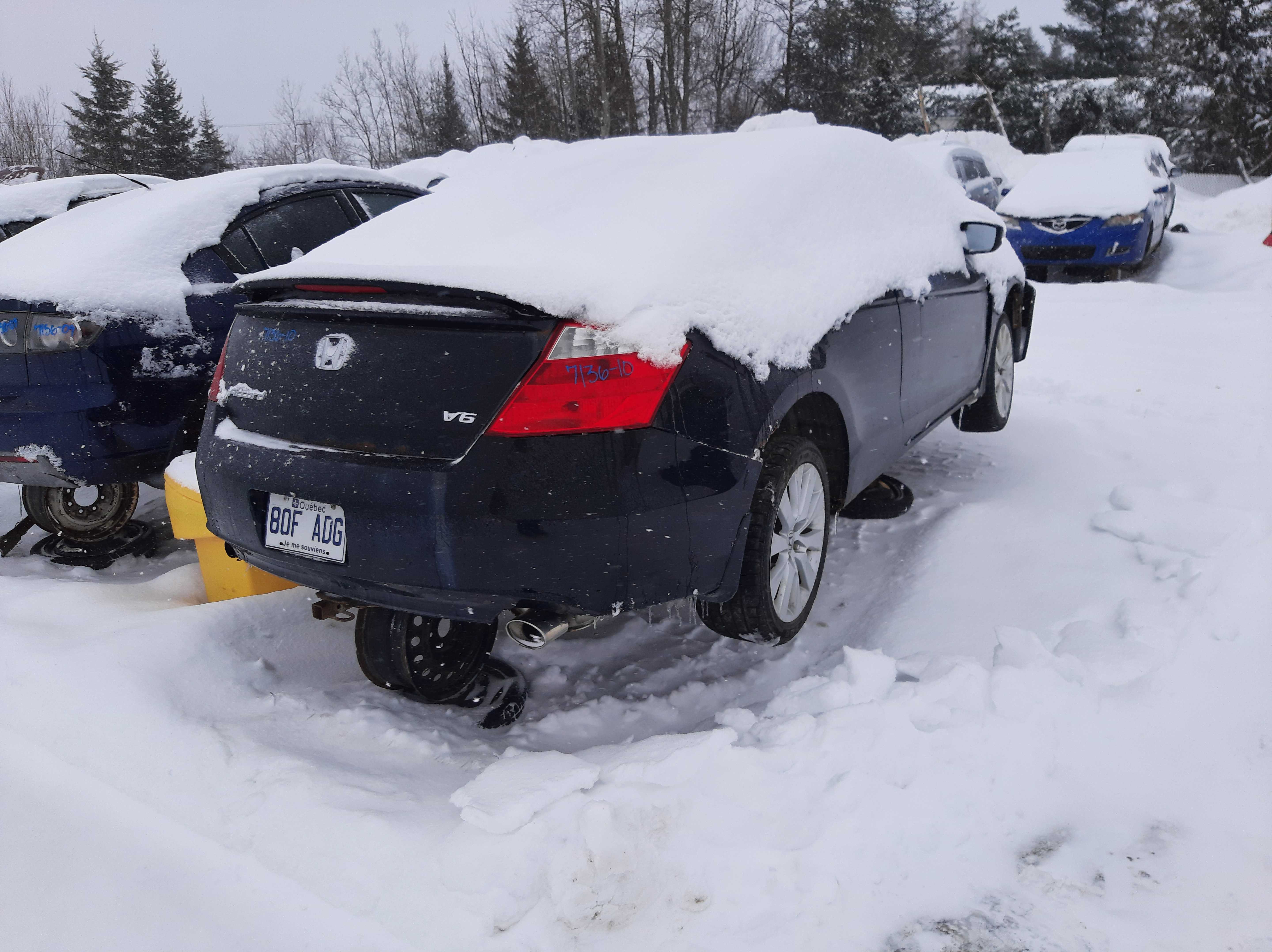 HONDA ACCORD 2010