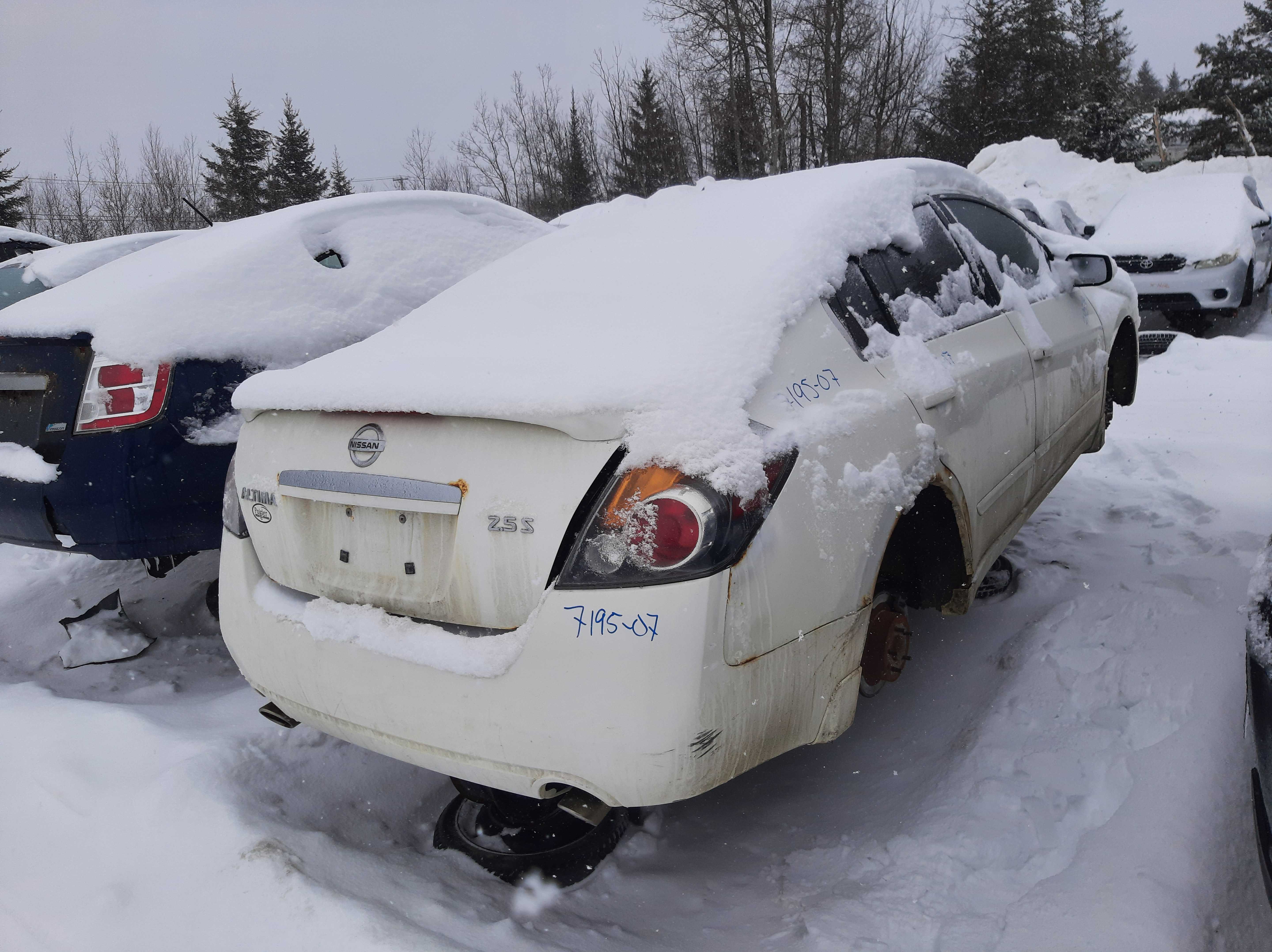 NISSAN ALTIMA 2007