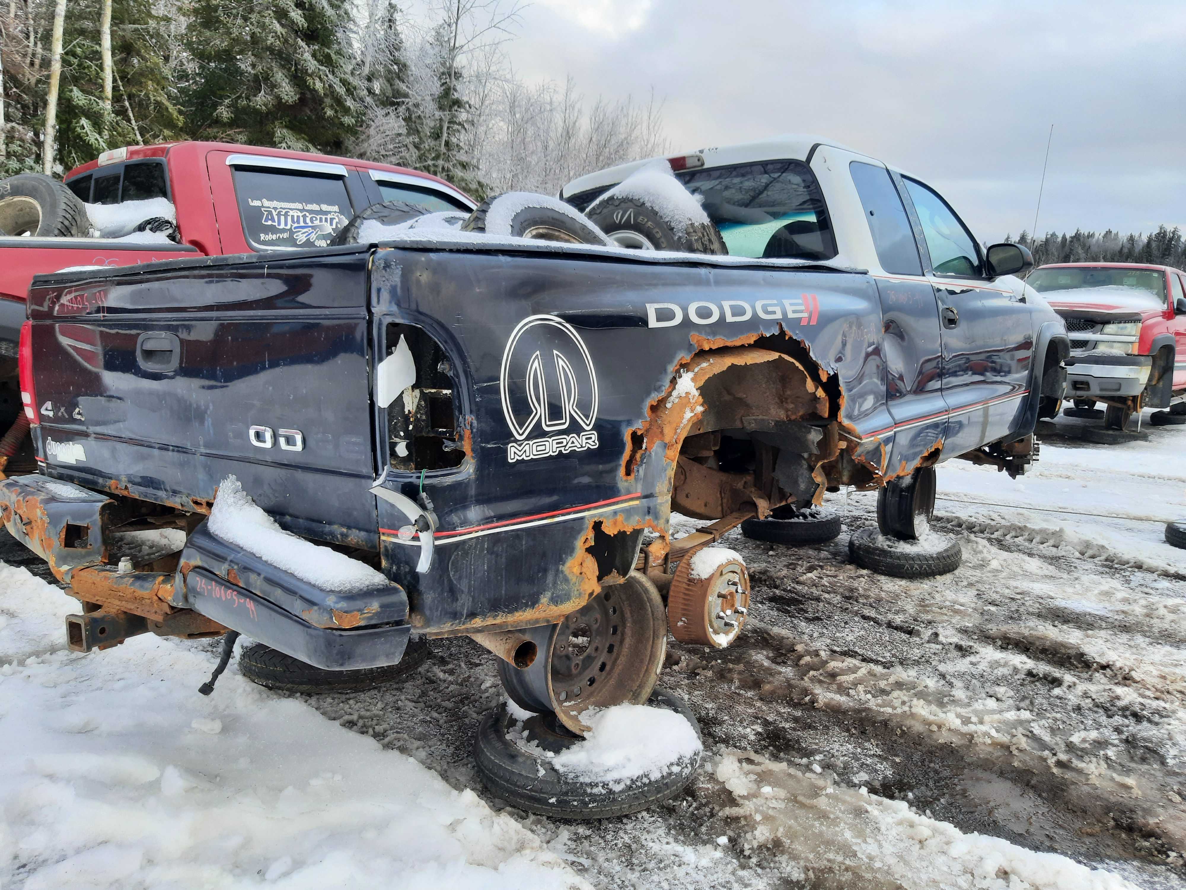 DODGE DAKOTA 1999